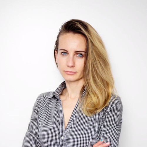 Portrait of a small brown dog on yellow background