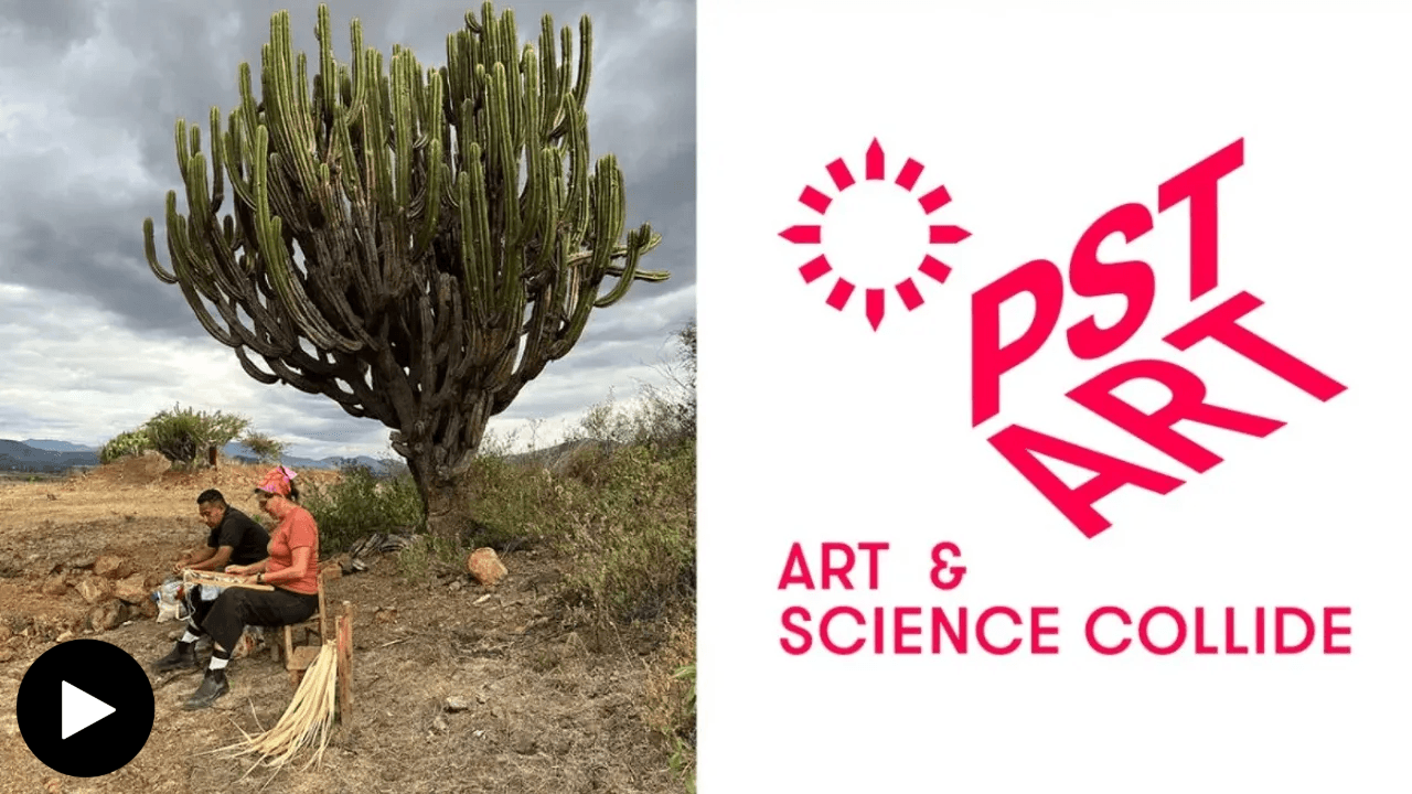 Aguiniga and Gutierrez and PST ART logo