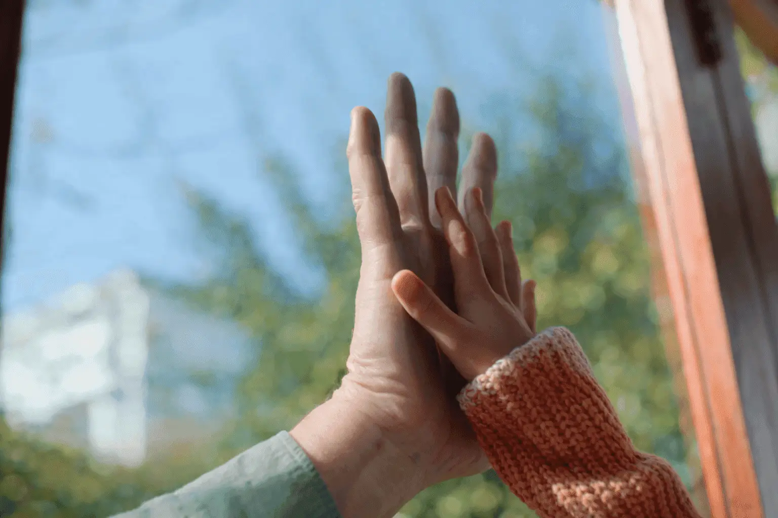 Parent and child holding hands by a window