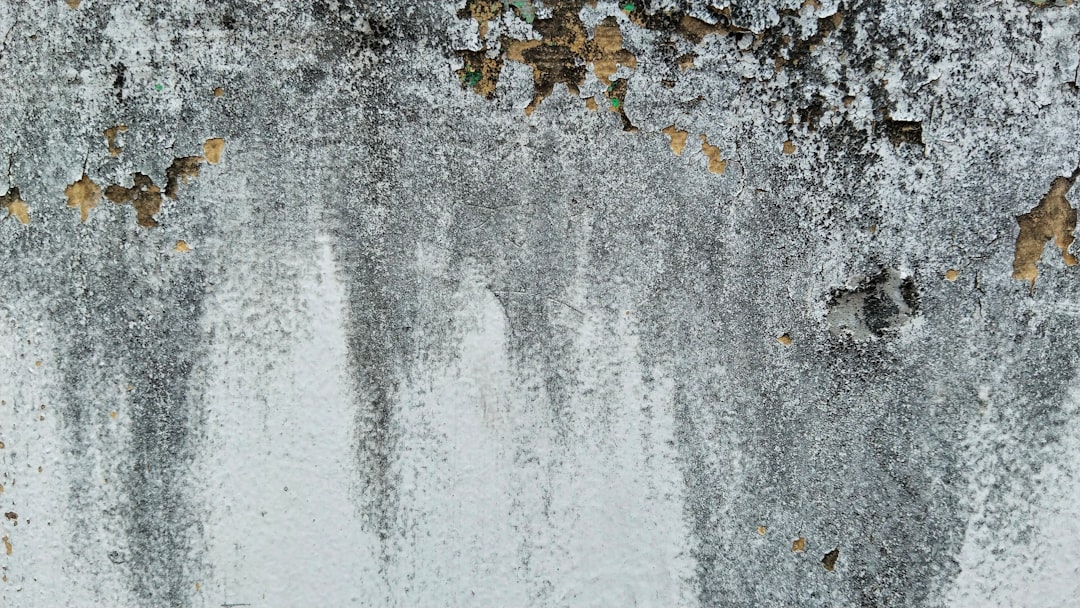 A bird is standing in the snow near a tree