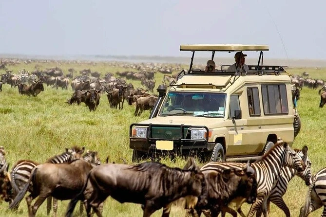 Kenya Masai Mara Tour Package
