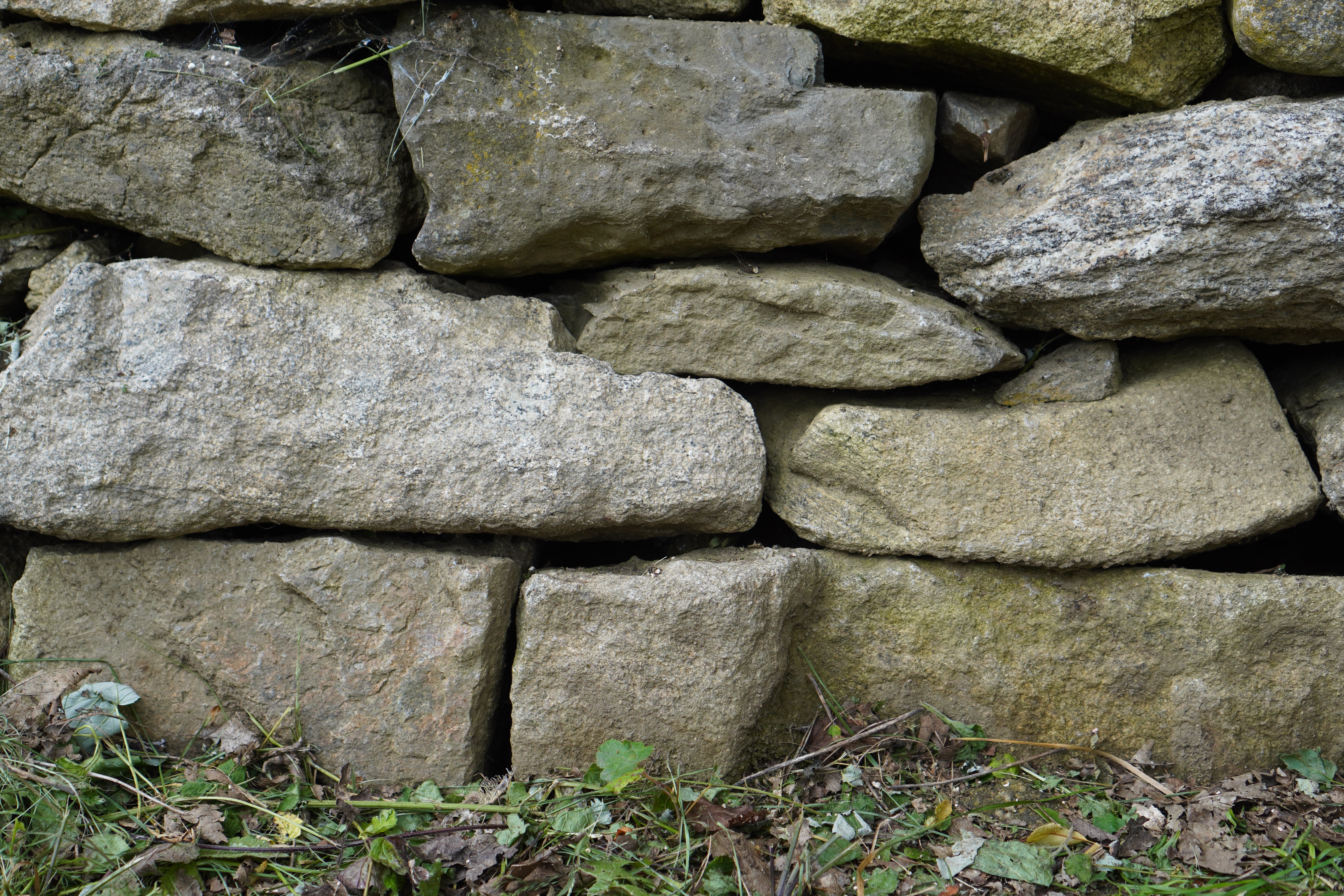 Profilbild Mauerfuß