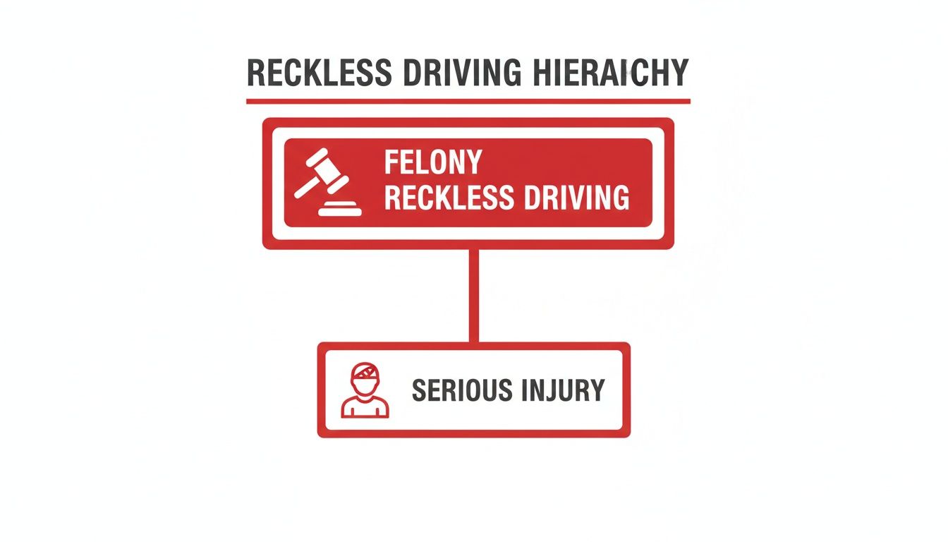 A flowchart illustrates the reckless driving hierarchy, showing felony reckless driving leading to serious injury.