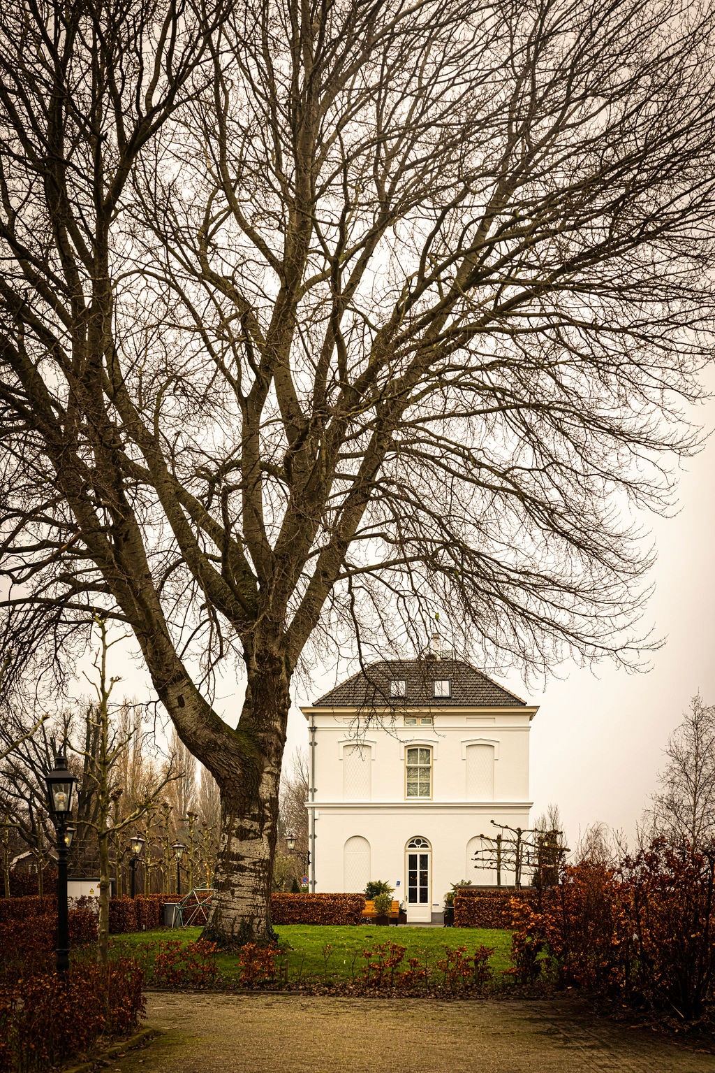 mountain valley with green grass and little village in the middle