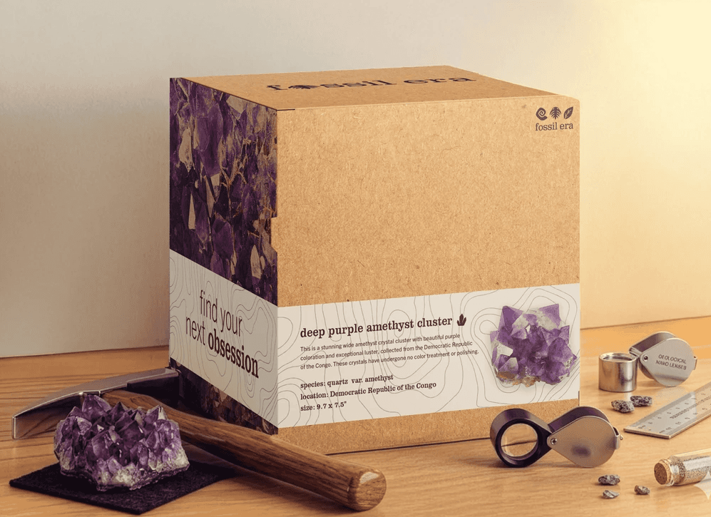 Amethyst rock packaging from Fossil Era.