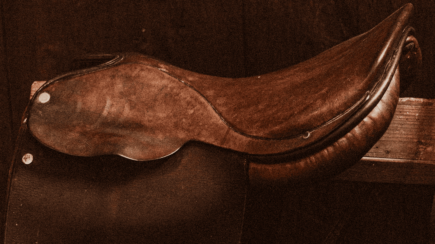Horse saddle