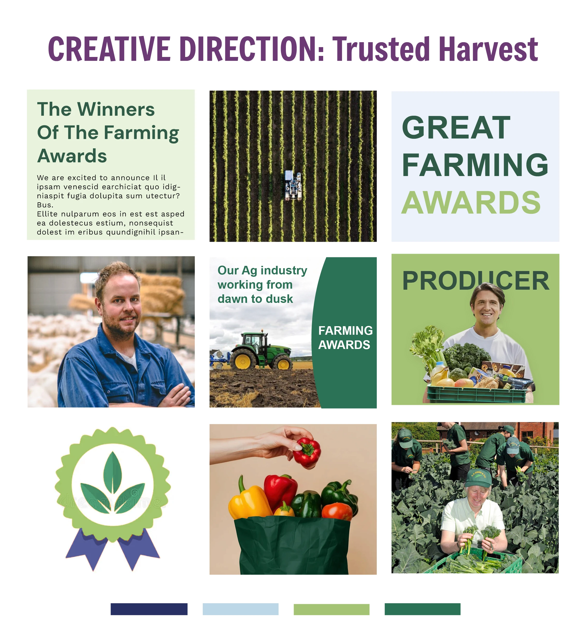 Mood Board Option 1: Trusted Harvest