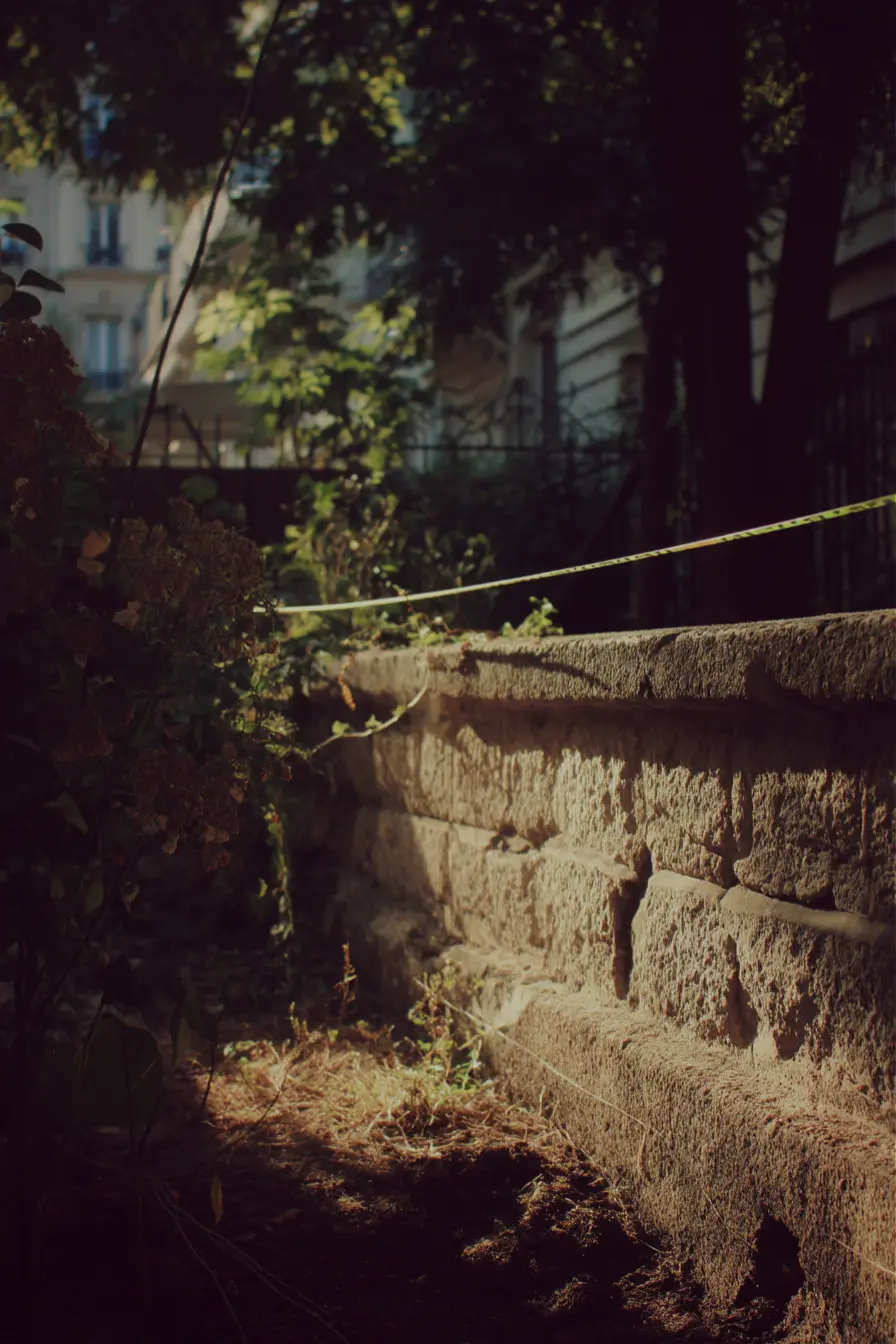 Conflit de propriété entre voisins à Paris pour un terrain ou un mur