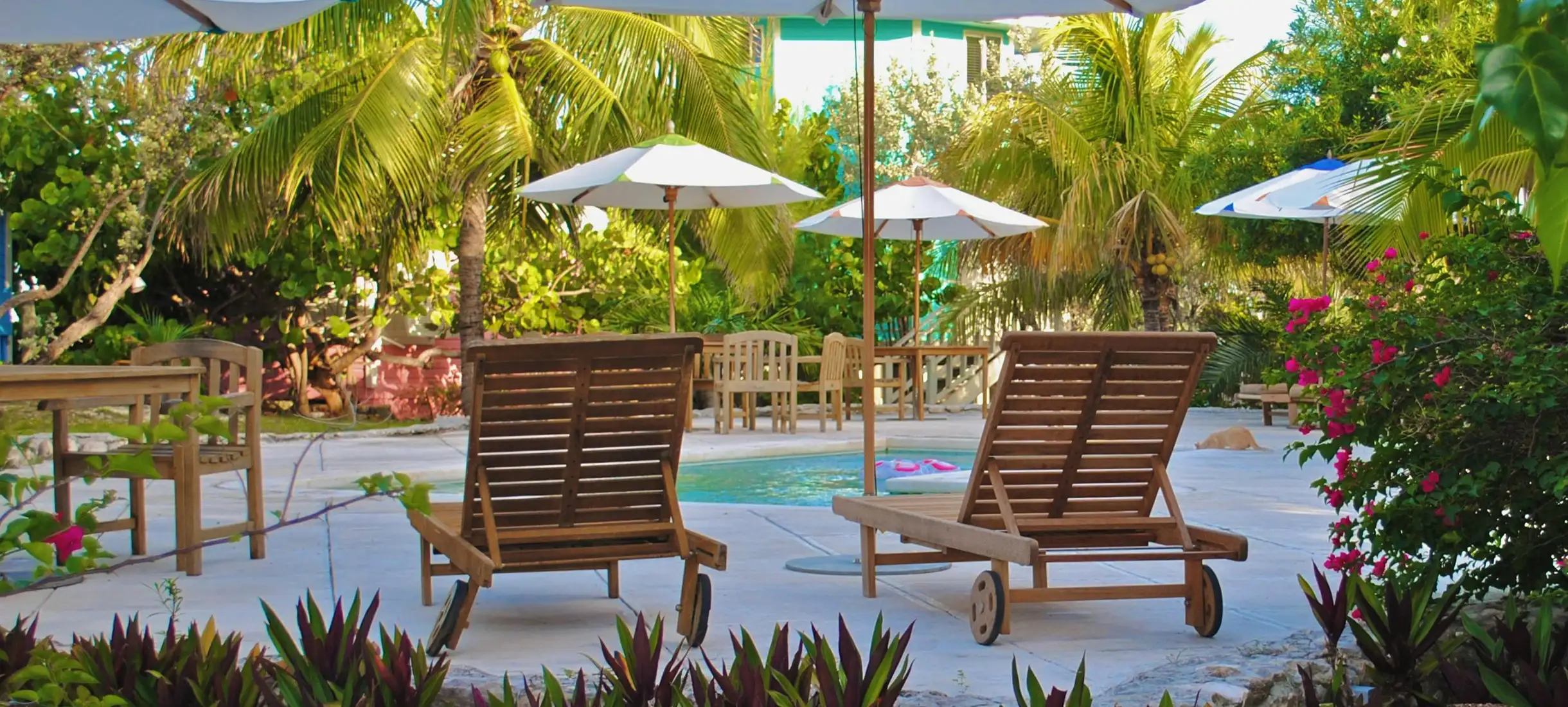 Contemporary home with greenery, lawn, and outdoor pathway