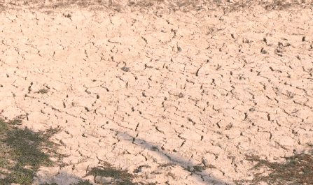 Orange kubota track loader parked on gravel road.