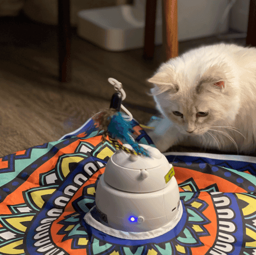 Finding the Right Toy for Your Cat