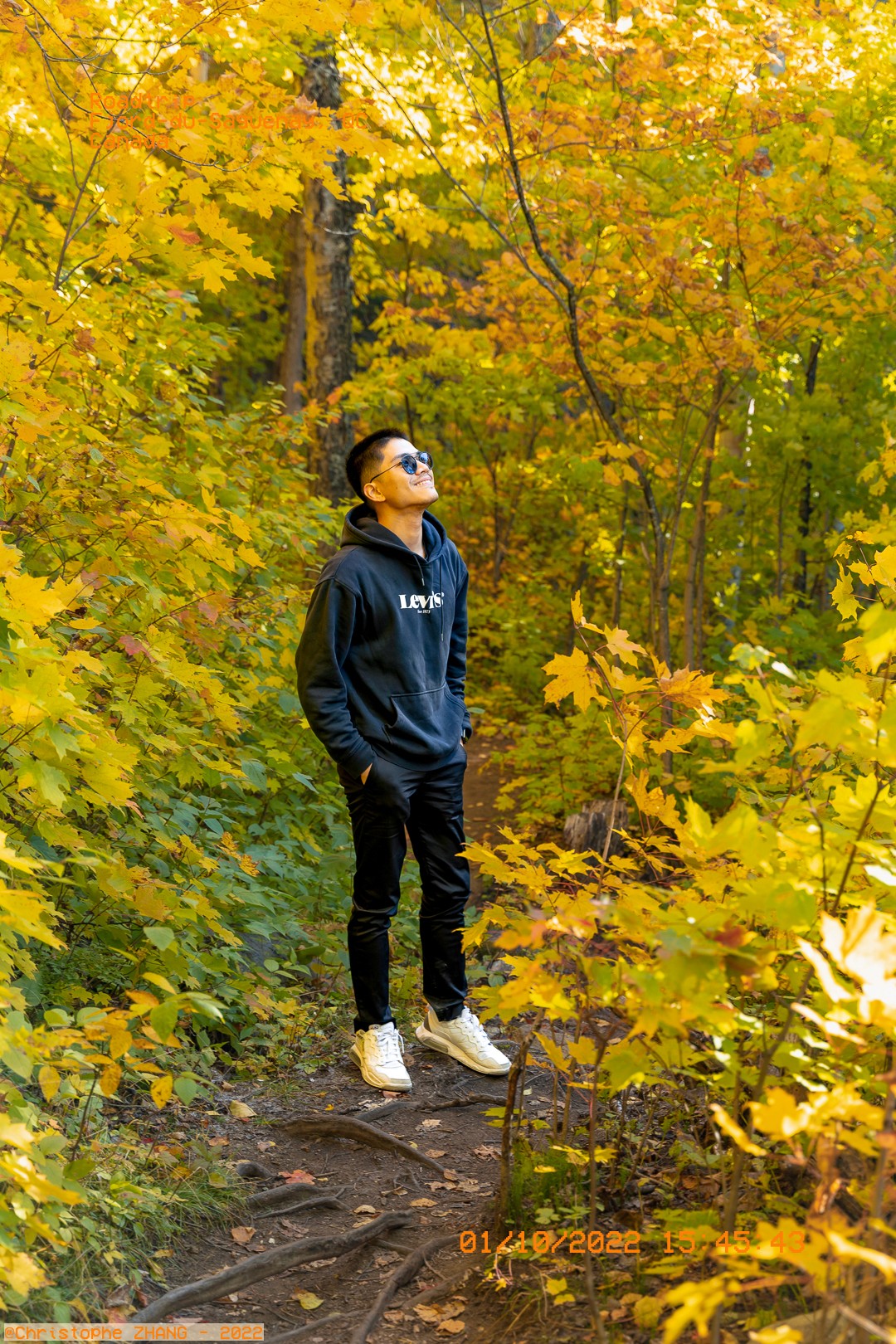 Promeneur profitant d'une balade en forêt automnale entouré de feuilles dorées.
