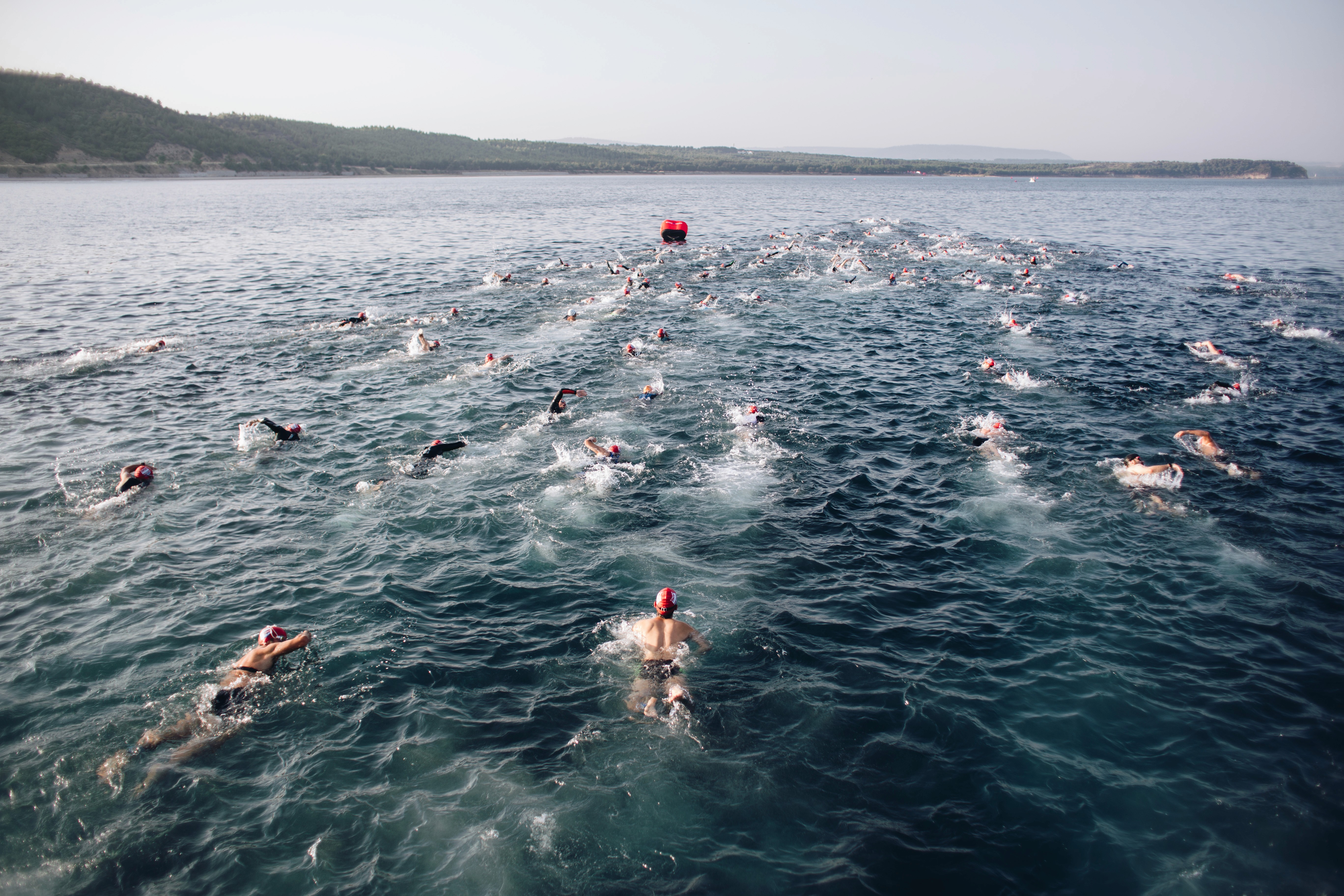 Freiwasser Schwimmer