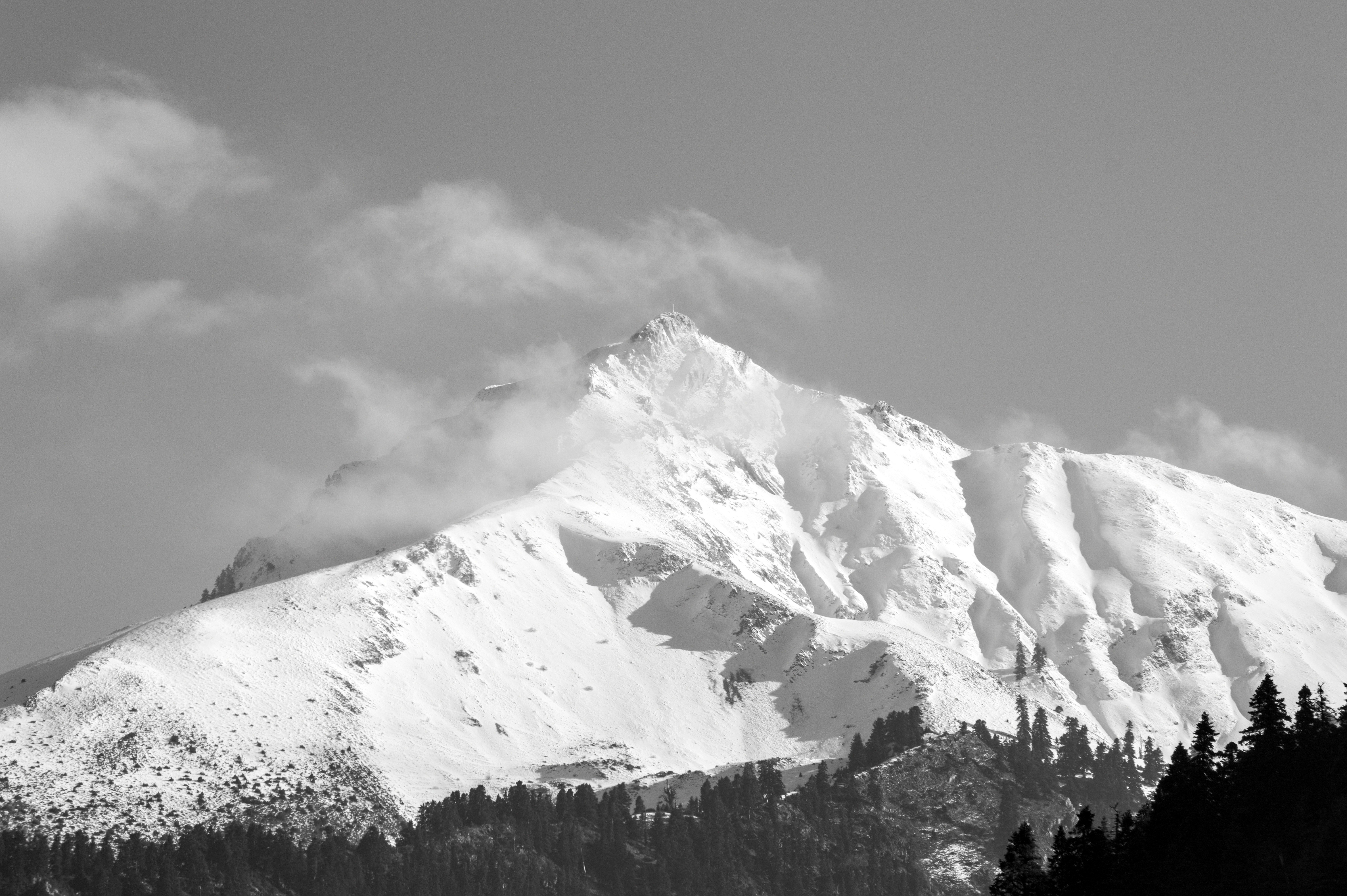 a snow covered mountain with trees in the foreground