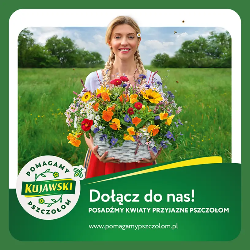 Grafika kampanii Kujawski z kobietą trzymającą kosz kwiatów przyjaznych pszczołom