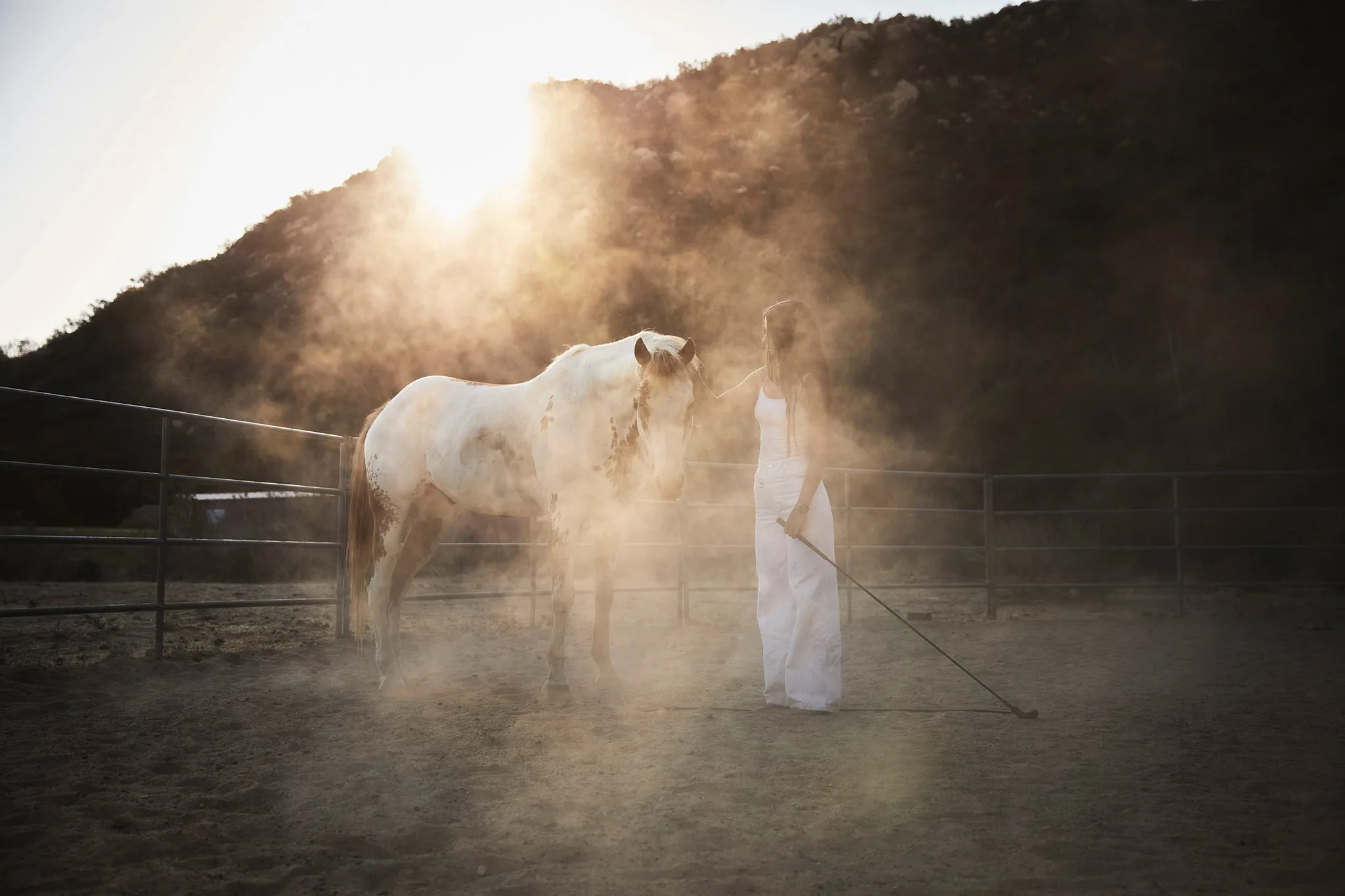 woman touching horse in backlit dust — Alex Saidac photography by Tom Kubik