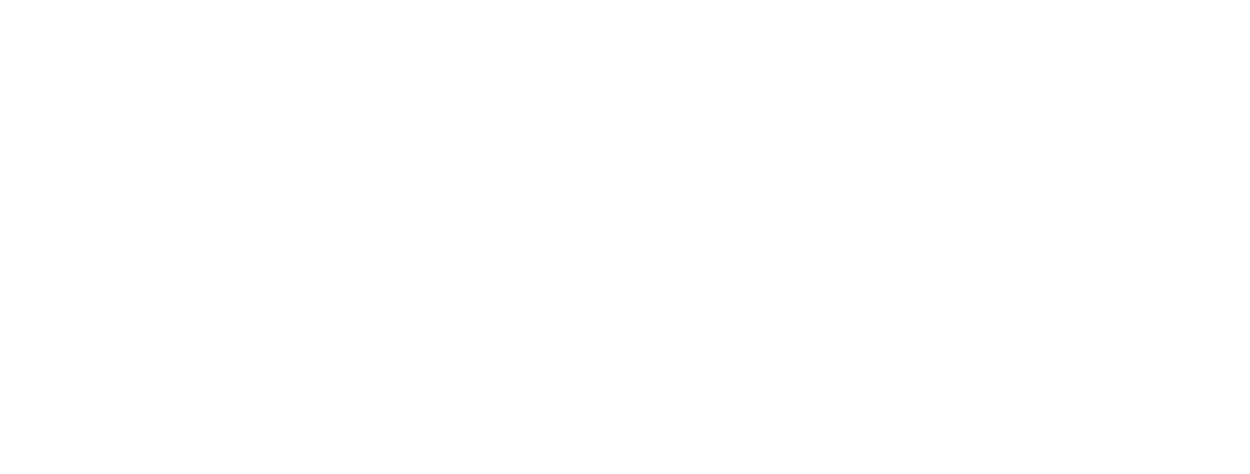 Partner logo 9