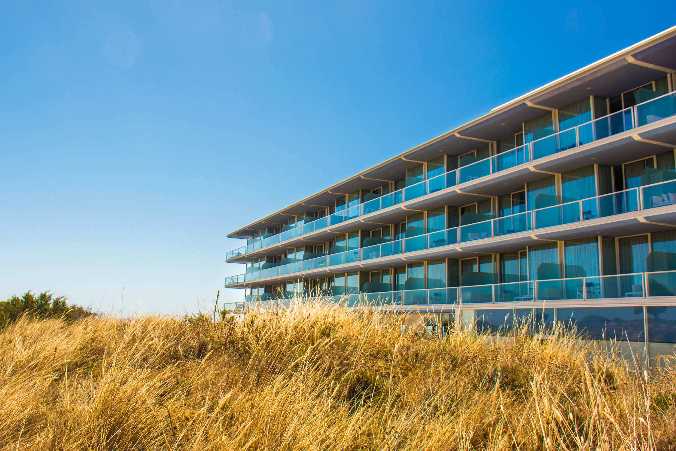 A multi-story modern hotel with glass balconies faces a beach with tall, dry yellow grass under a clear blue sky.