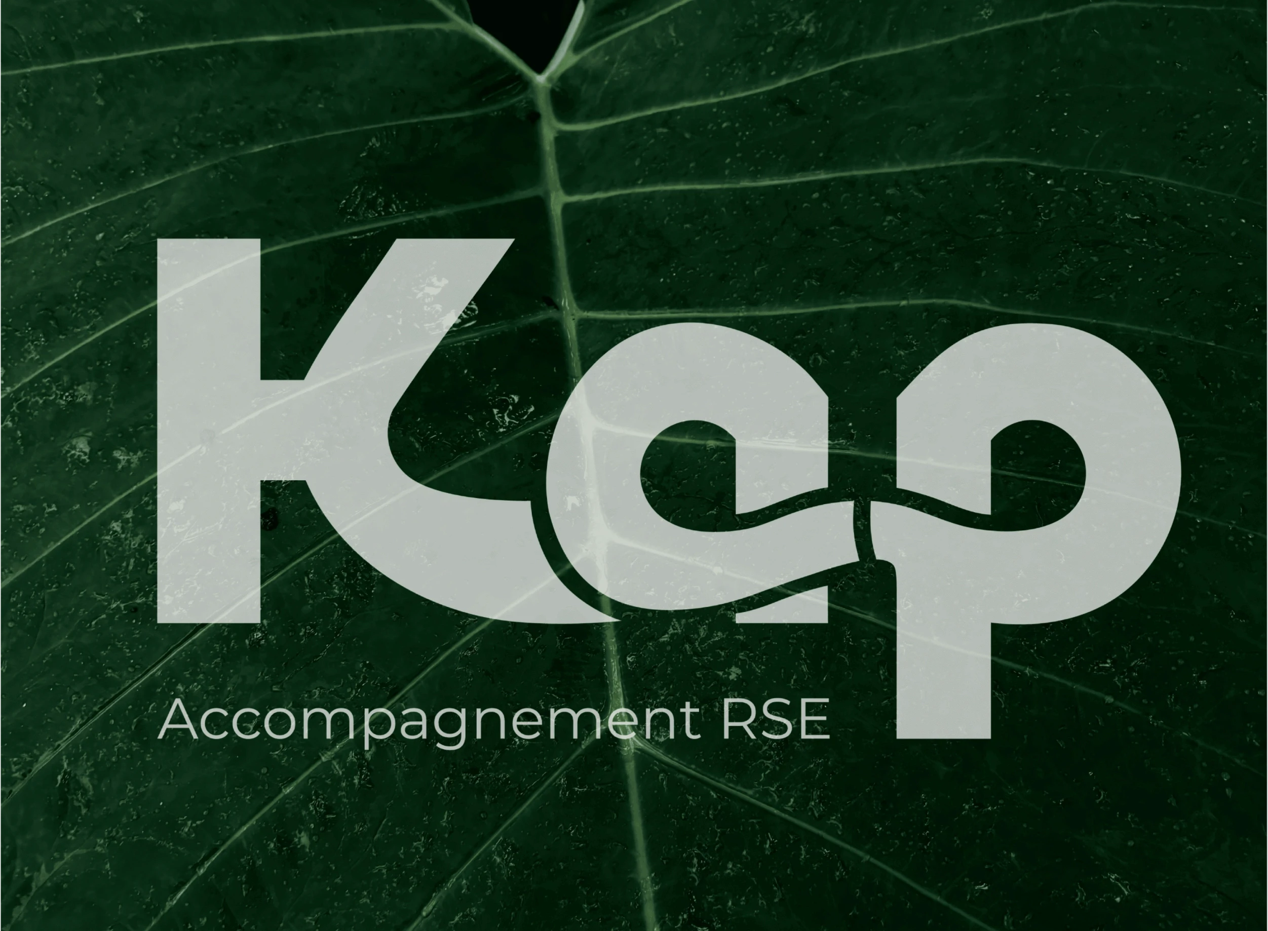 logo-KAP