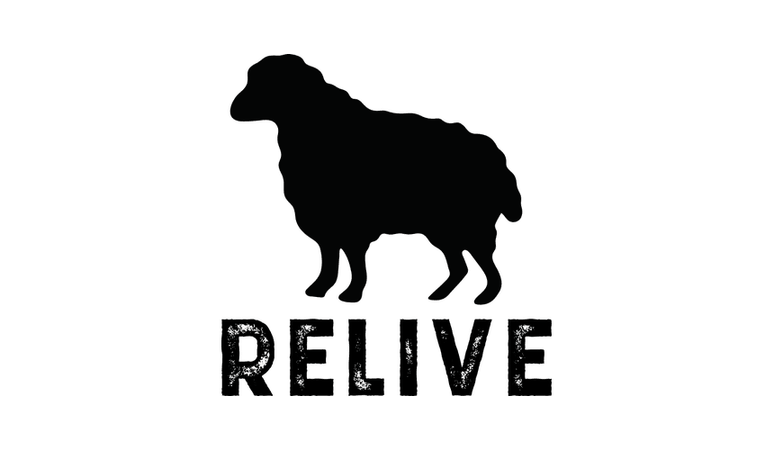 Logo Relive