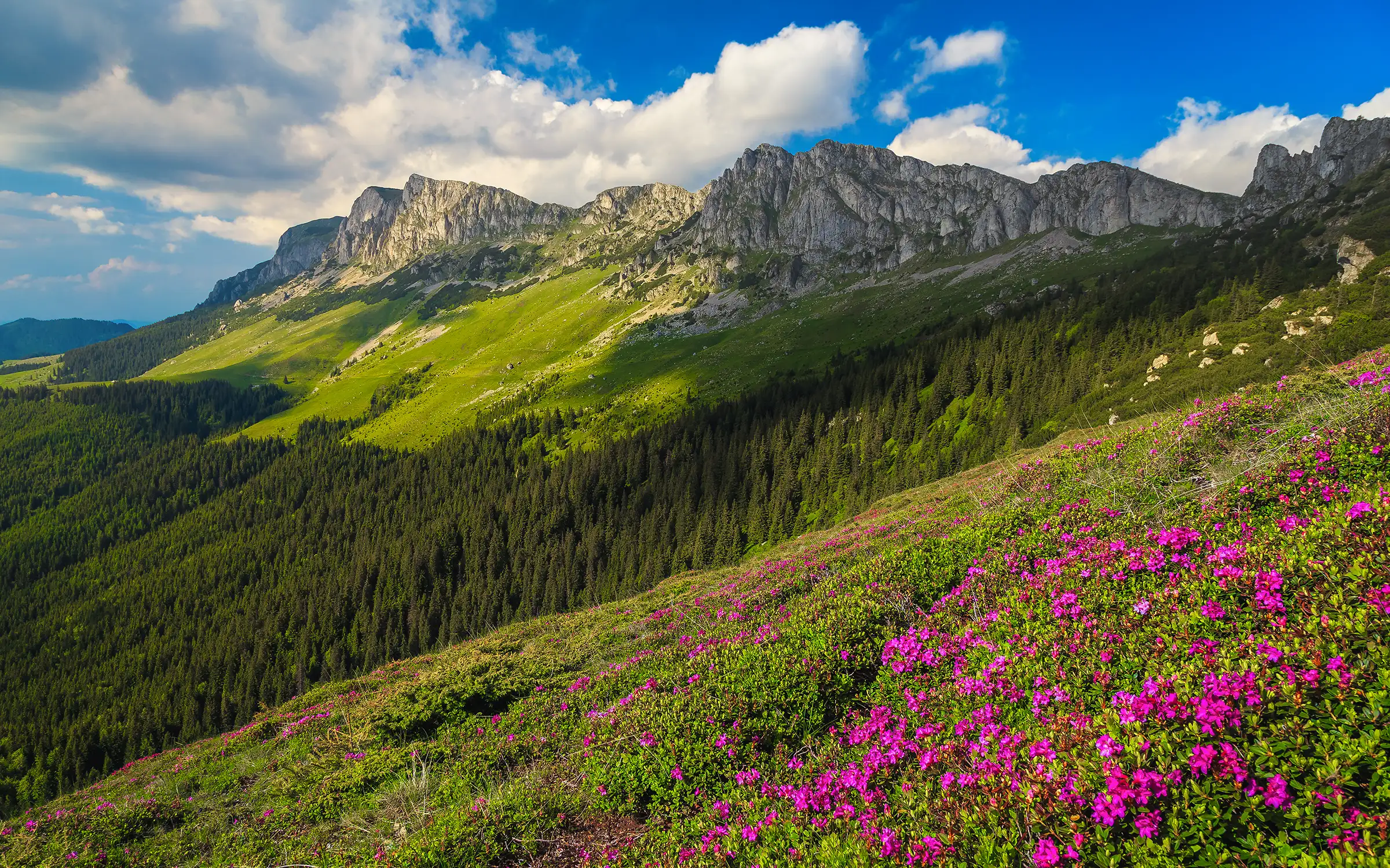 Bucegifjellene i Karpatene i Romania | Expa Travel