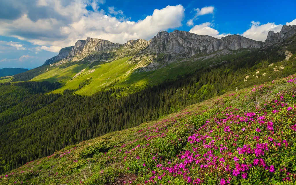 Bucegifjellene i Karpatene i Romania | Expa Travel