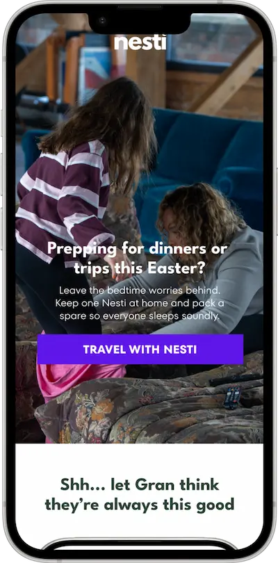 Email Mockup for Nesti