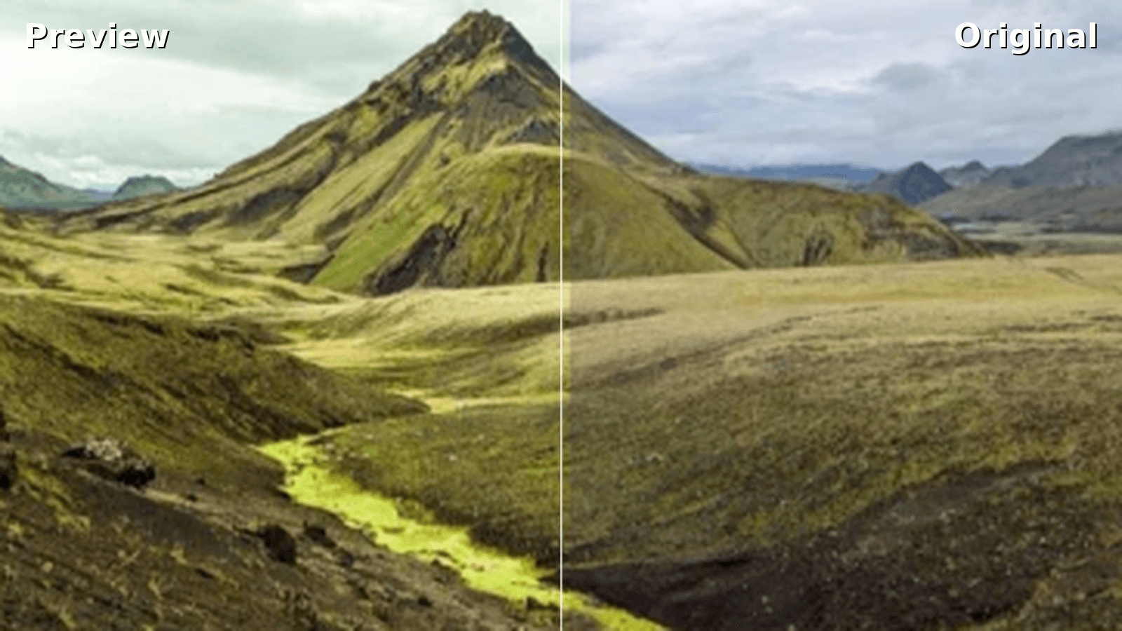 Photo edited with Retrica's OLIVE preset, showing warm nostalgic tones with soft glow and green undertones