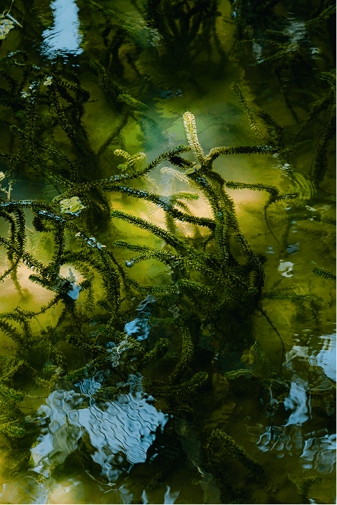 Paper Floating