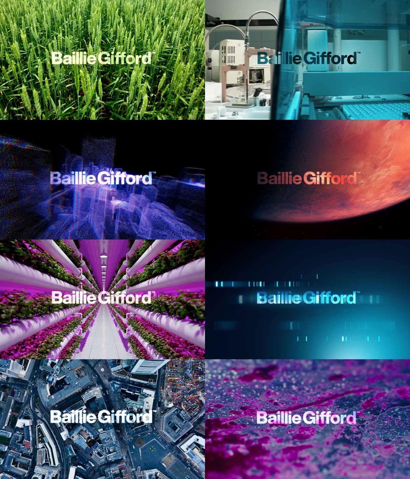 Motion Branding Logo Stings