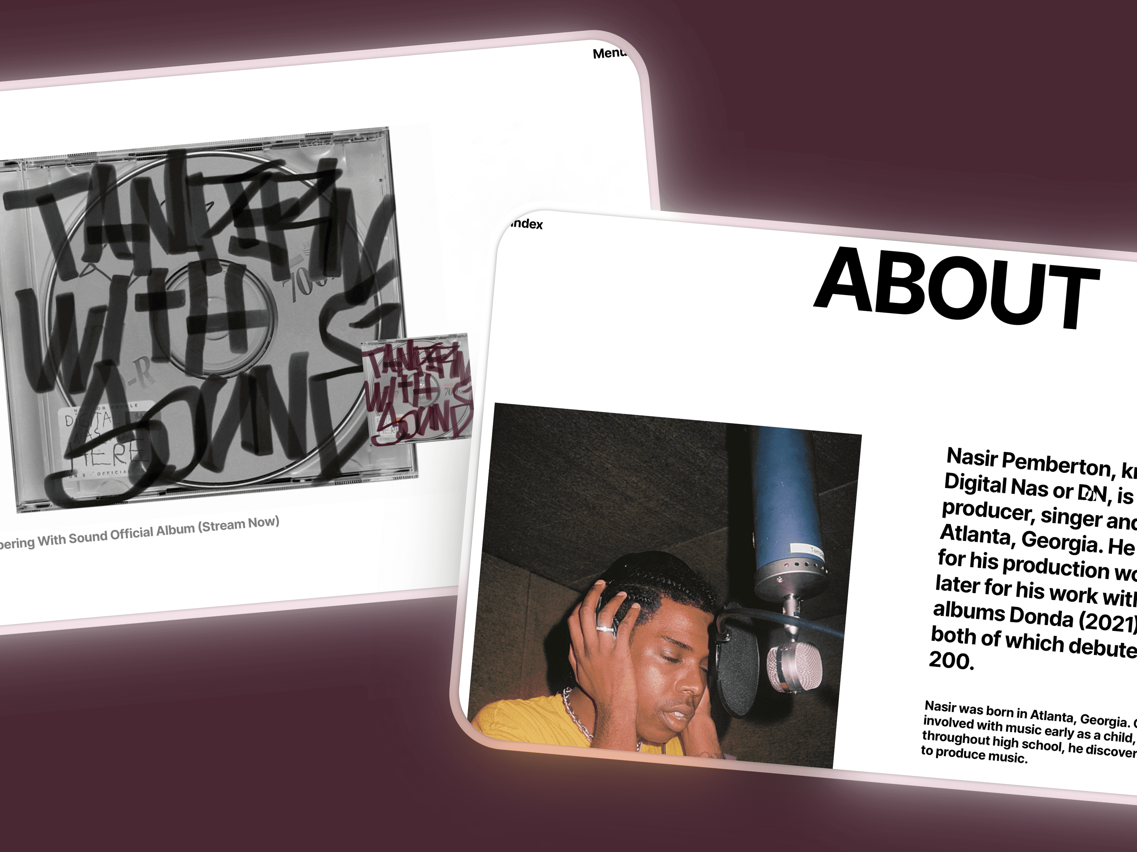 digitalnas.com website created by pixlform framer pro expert