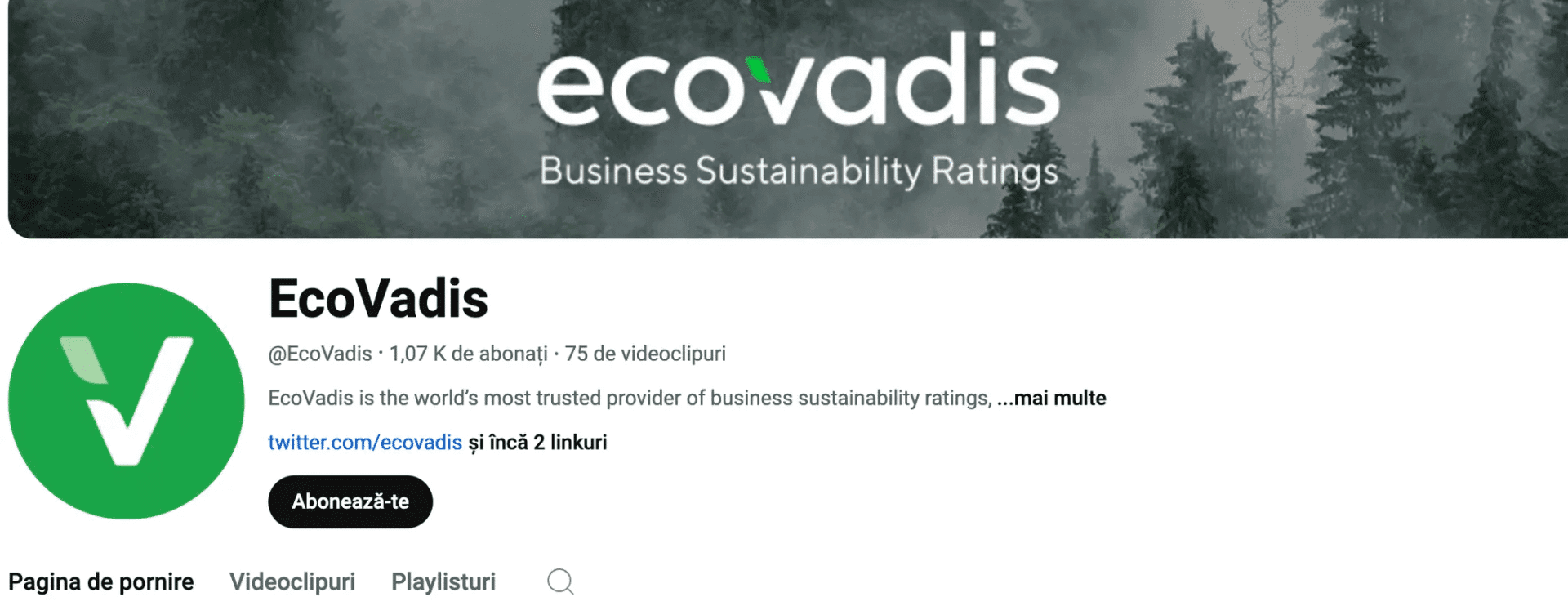 Marketing Spotlight: EcoVadis