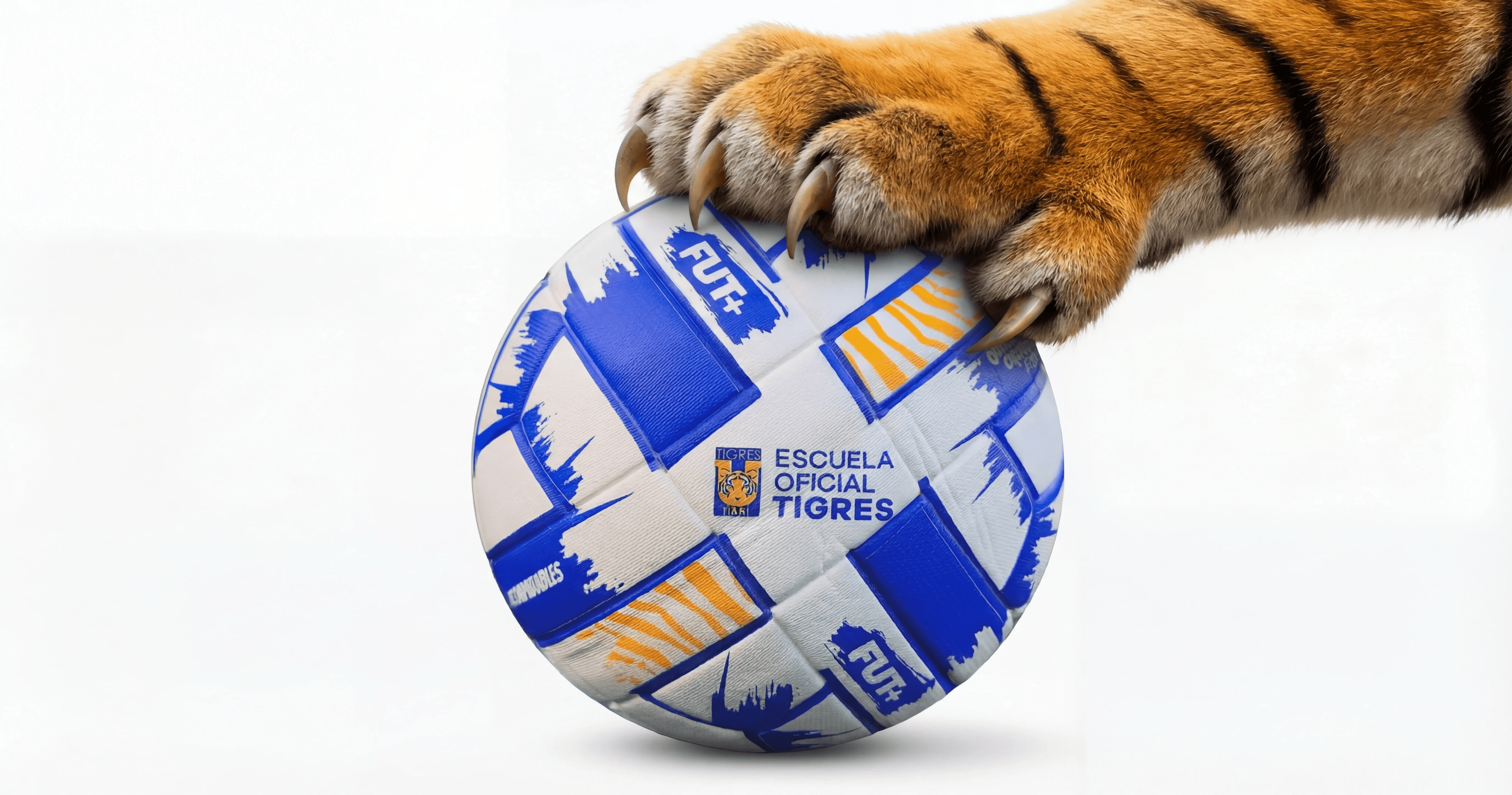 Escuela Tigres Oficial