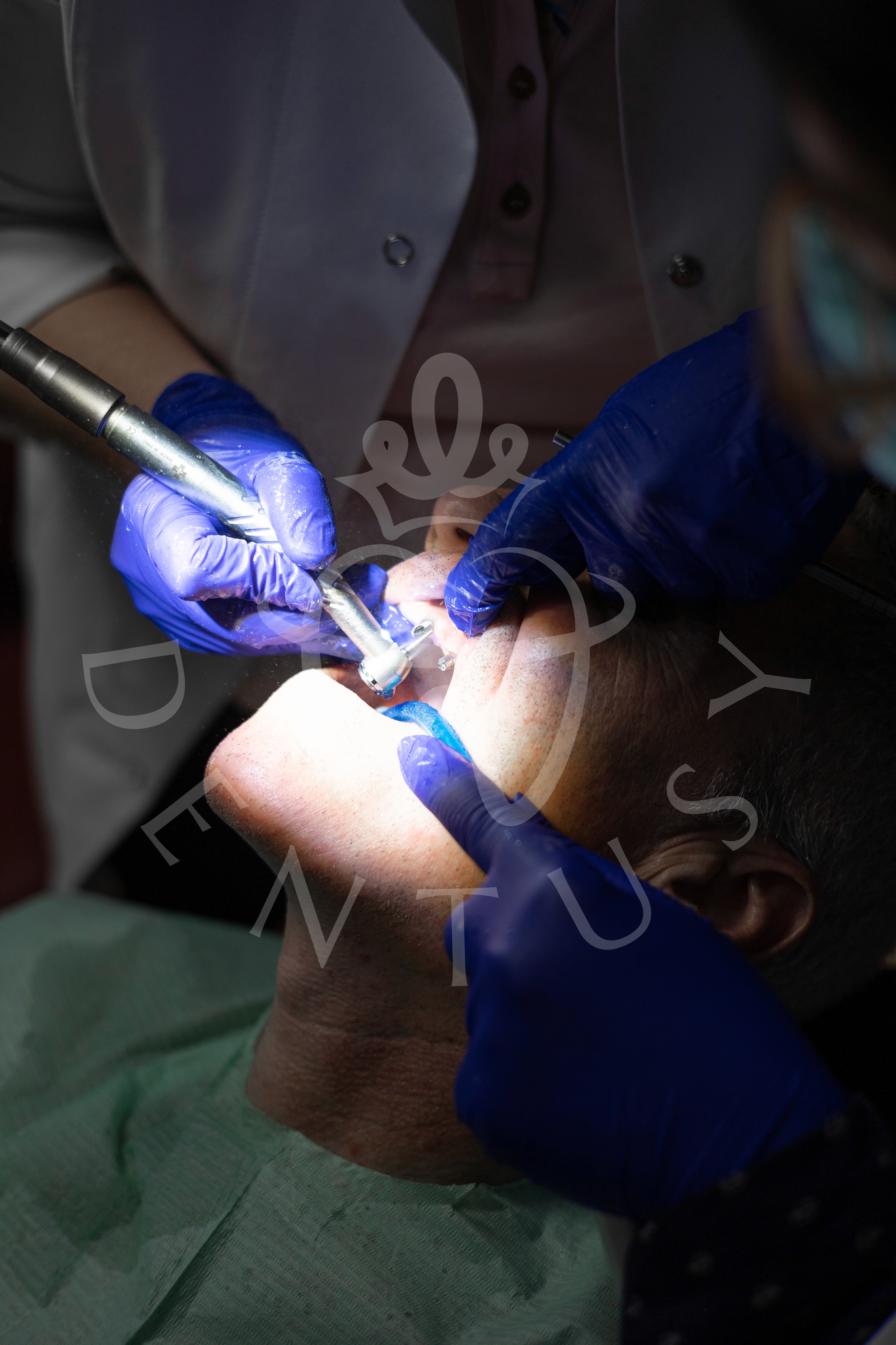 Here comes the alt text