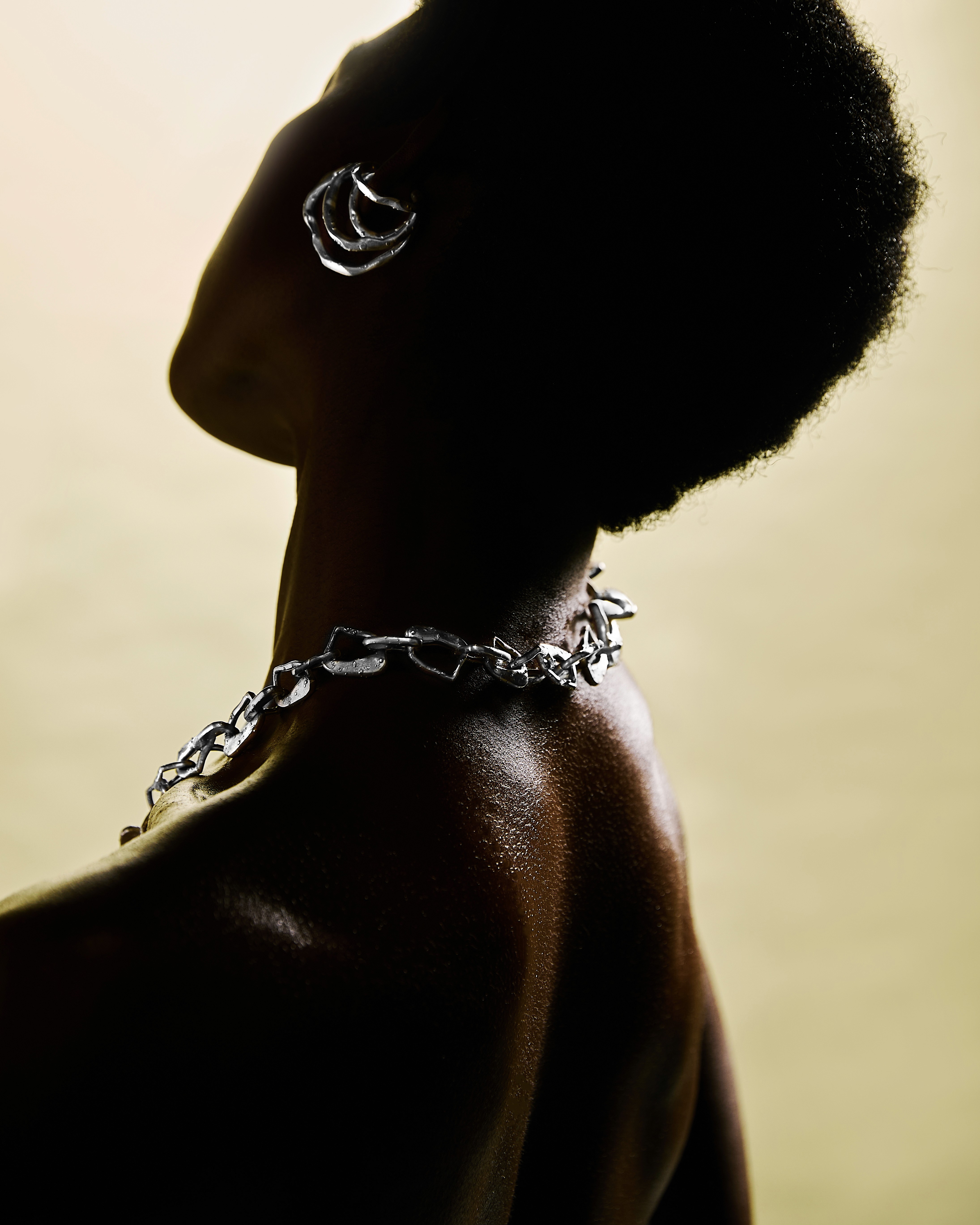 Large Project Gallery Image #1