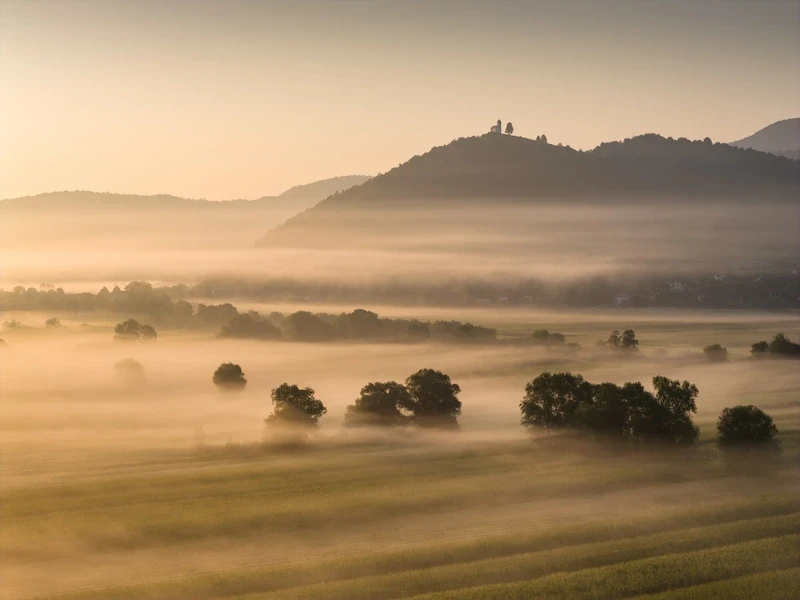Golden light over misty fields of Ljubljana Marshes in Slovenia, with a hill looking over the view.