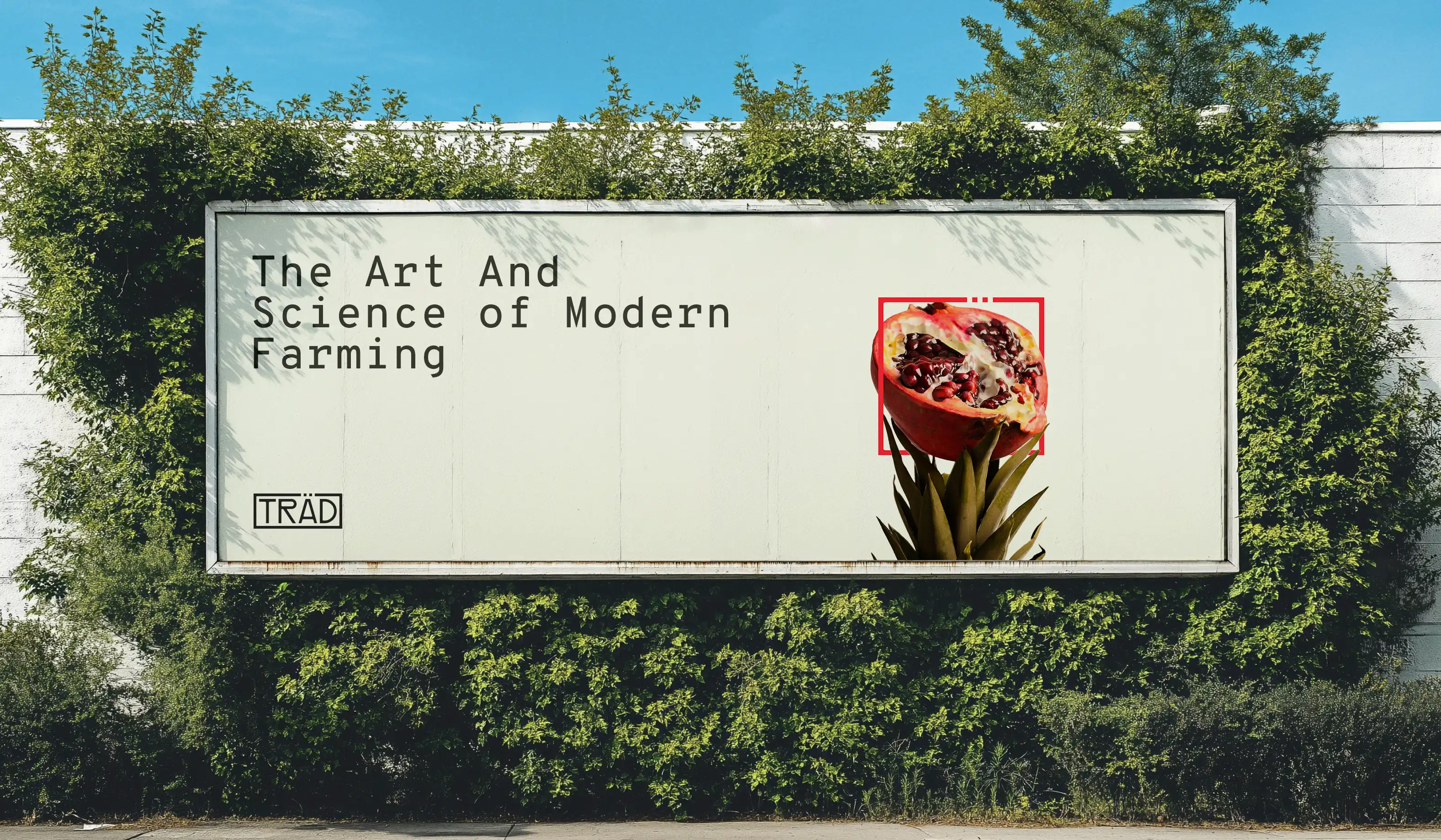 Female model seated gracefully, styled in elegant fashion with a calm, poised expression.