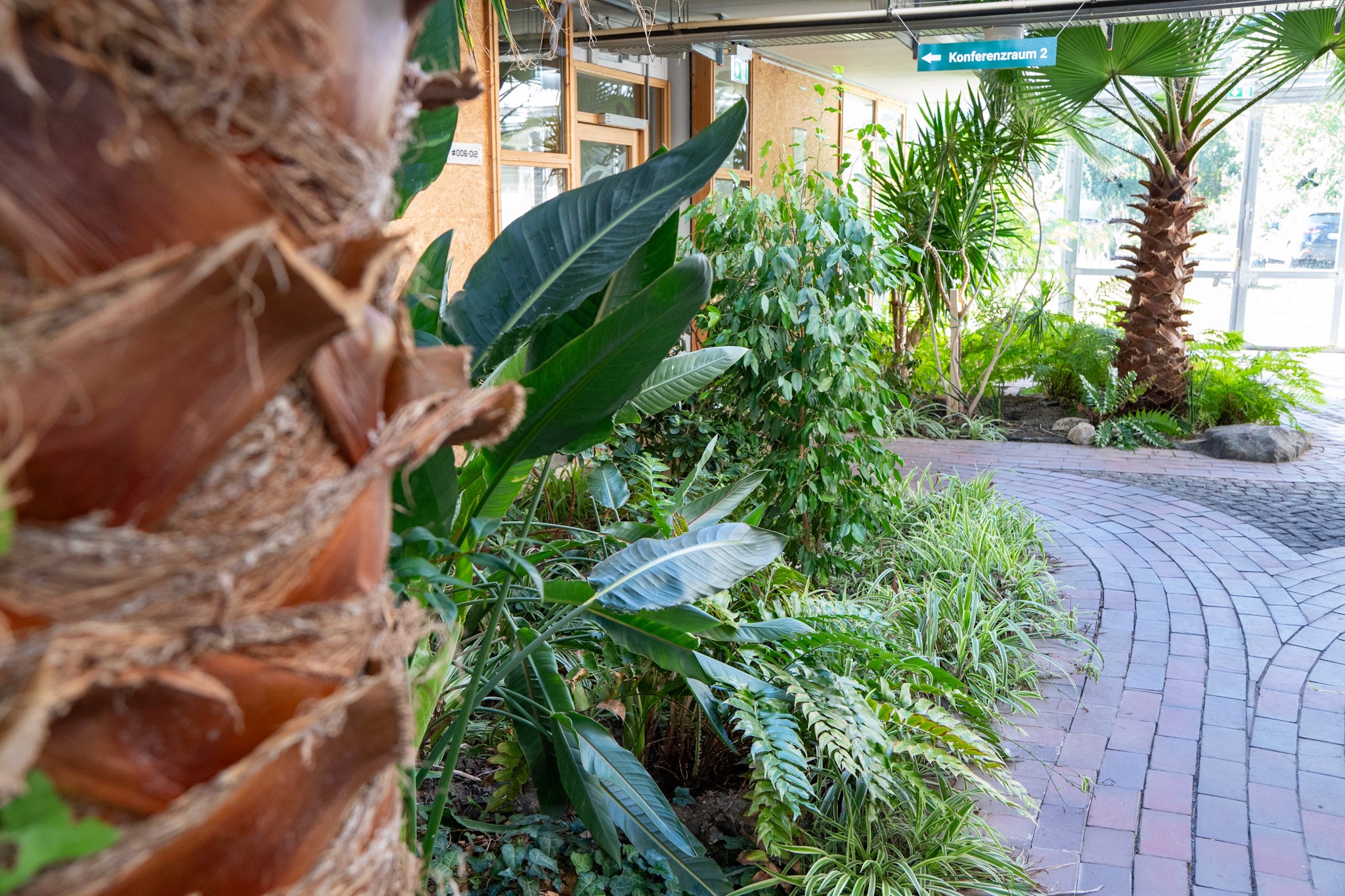 Lush planting and garden details in a finished landscape