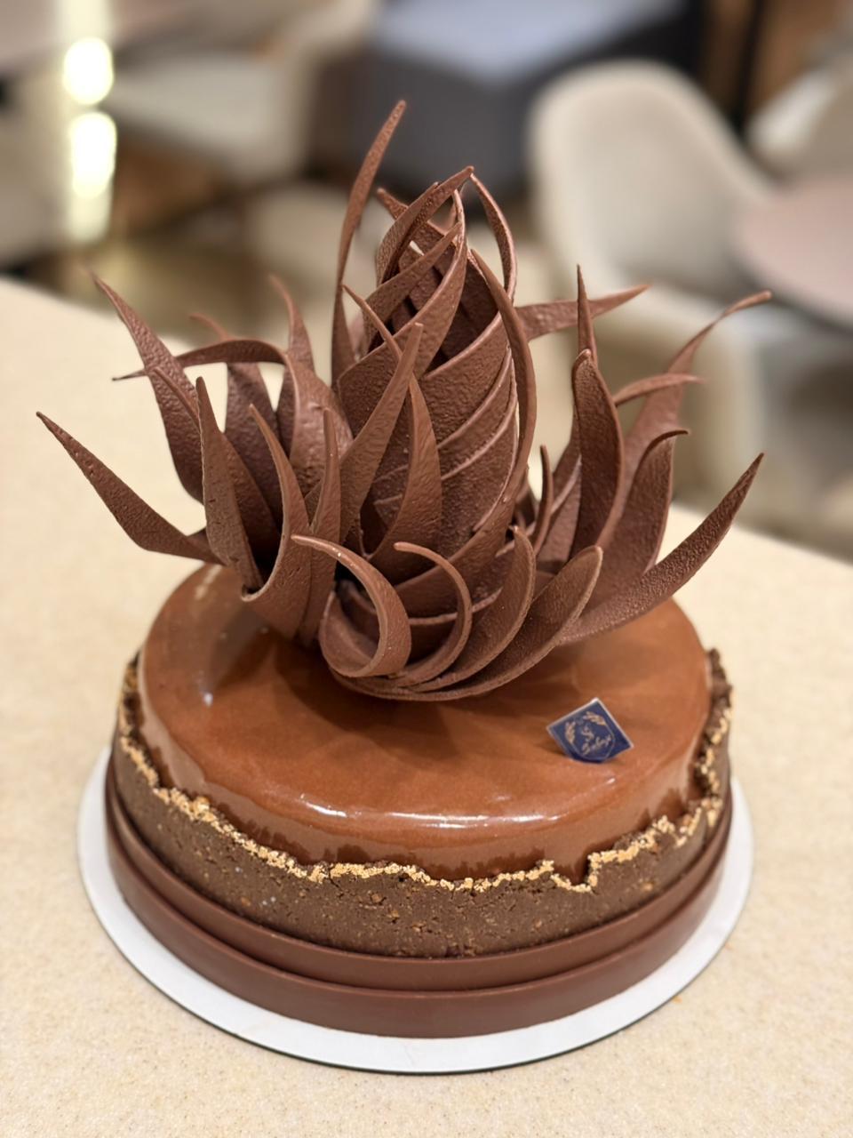 Entromie Chocolat Praline