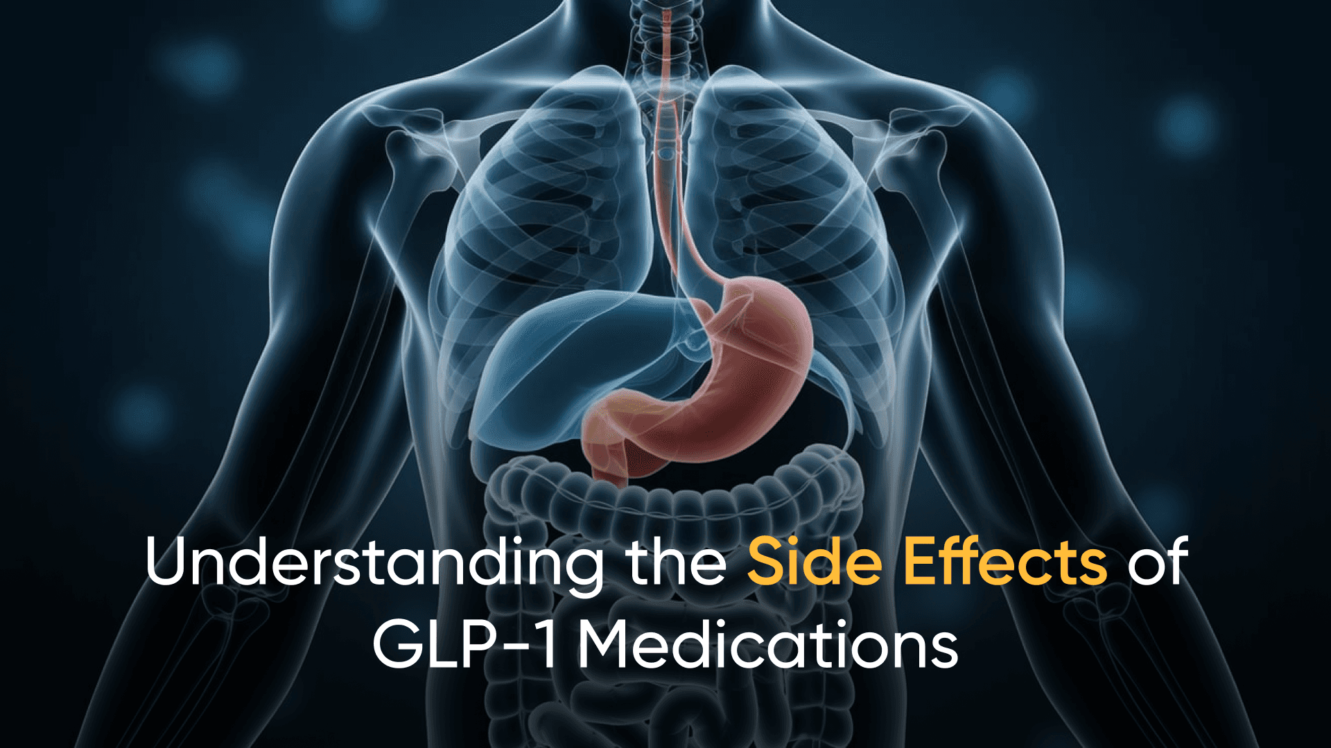 Understanding the side effects of GLP-1 medications with a digestive system illustration