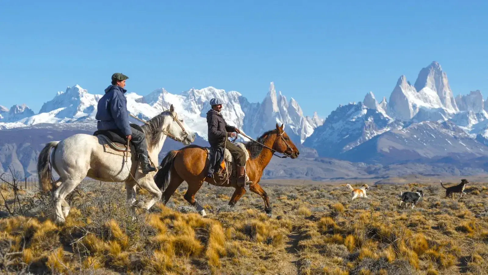 South America Travel Guide