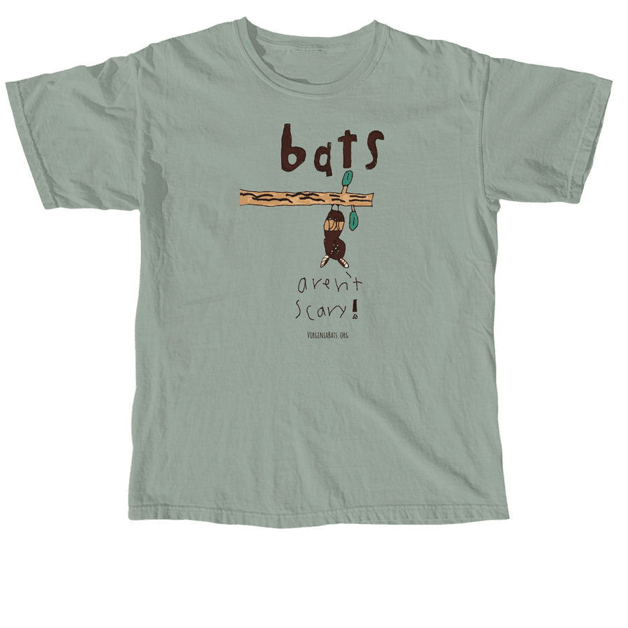 Bats Aren't Scary comfort colors shirt