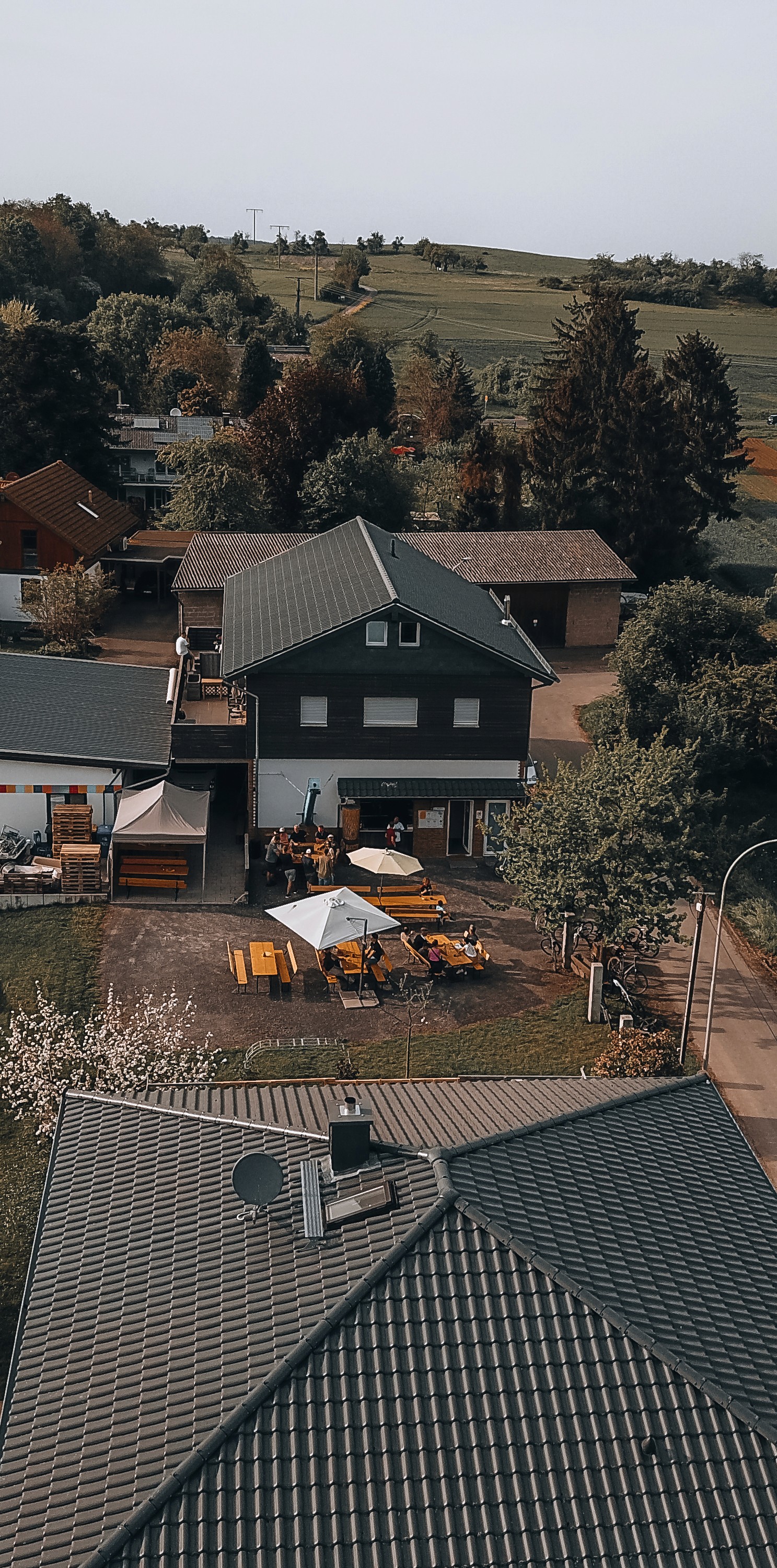 A skincare tube placed on dark, moss-covered rocks, surrounded by a natural, earthy backdrop.