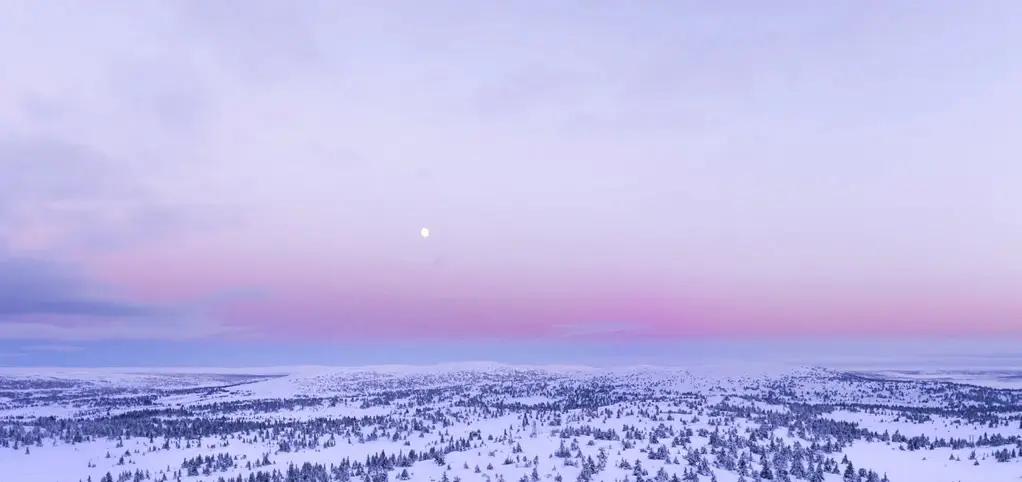 Resolut consultora especializada en la gestión de subvenciones y consecución de fondos públicos