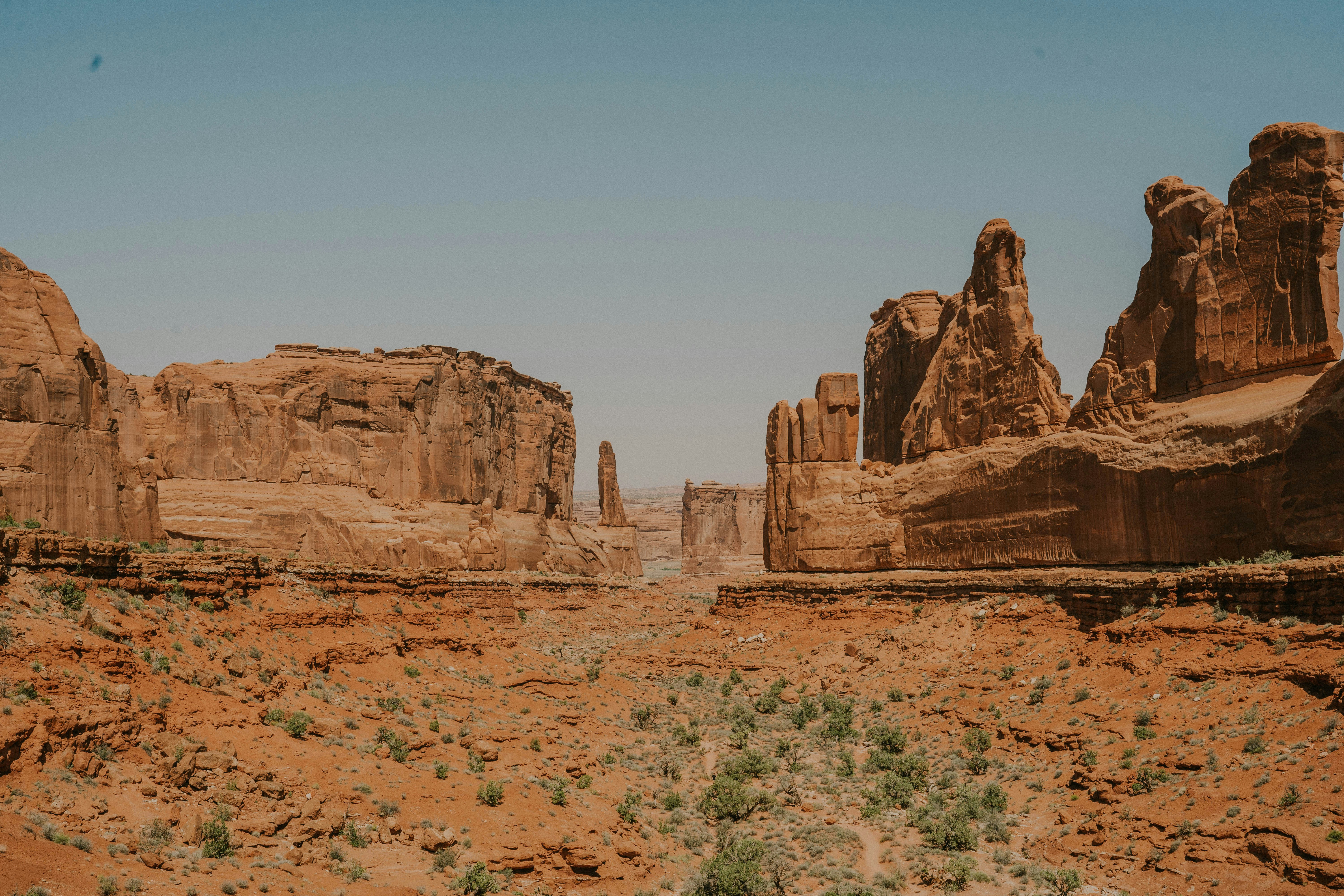 a desert landscape with rocks and plants in the foreground
