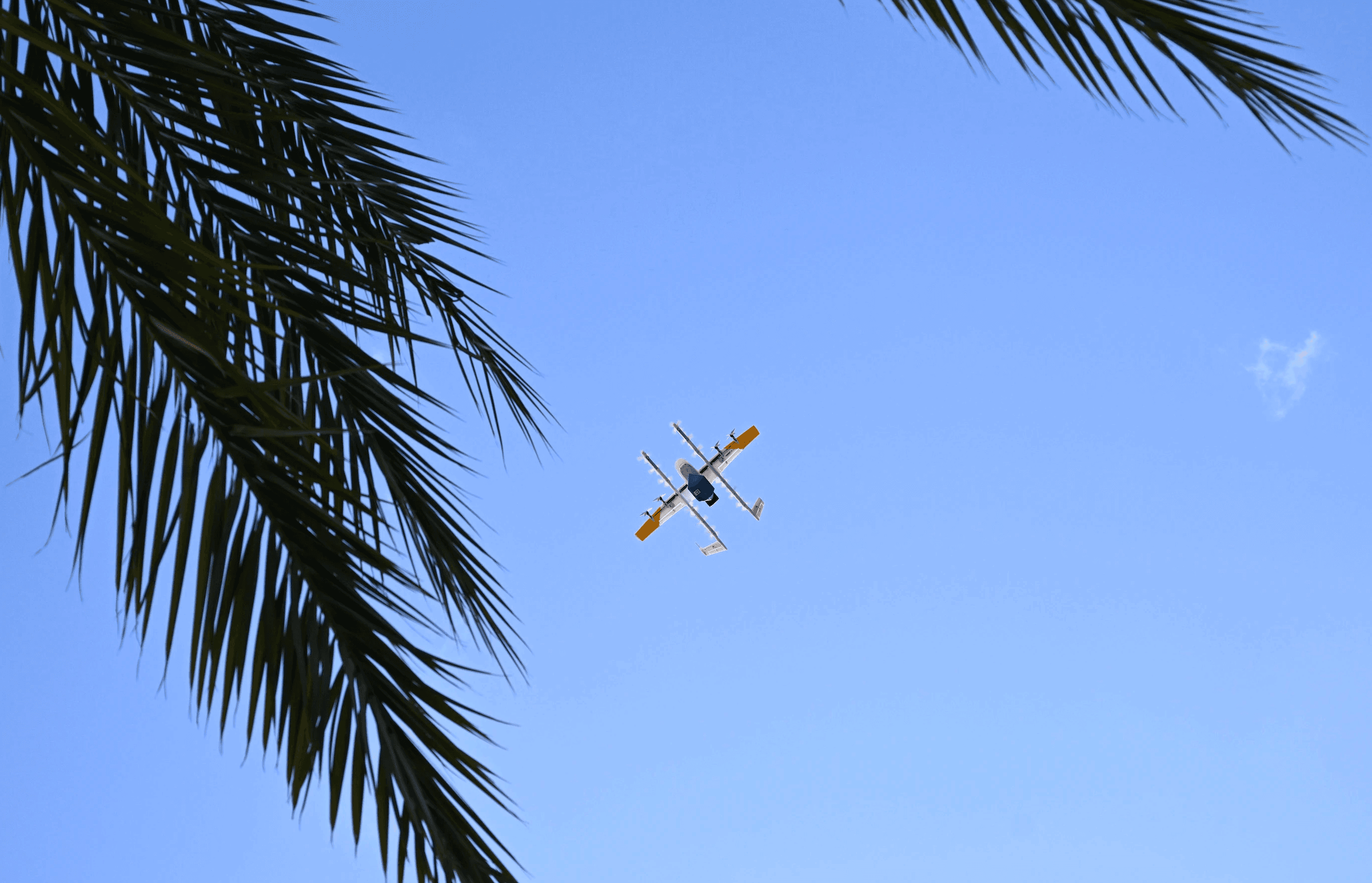 Wing drone delivering package in Florida