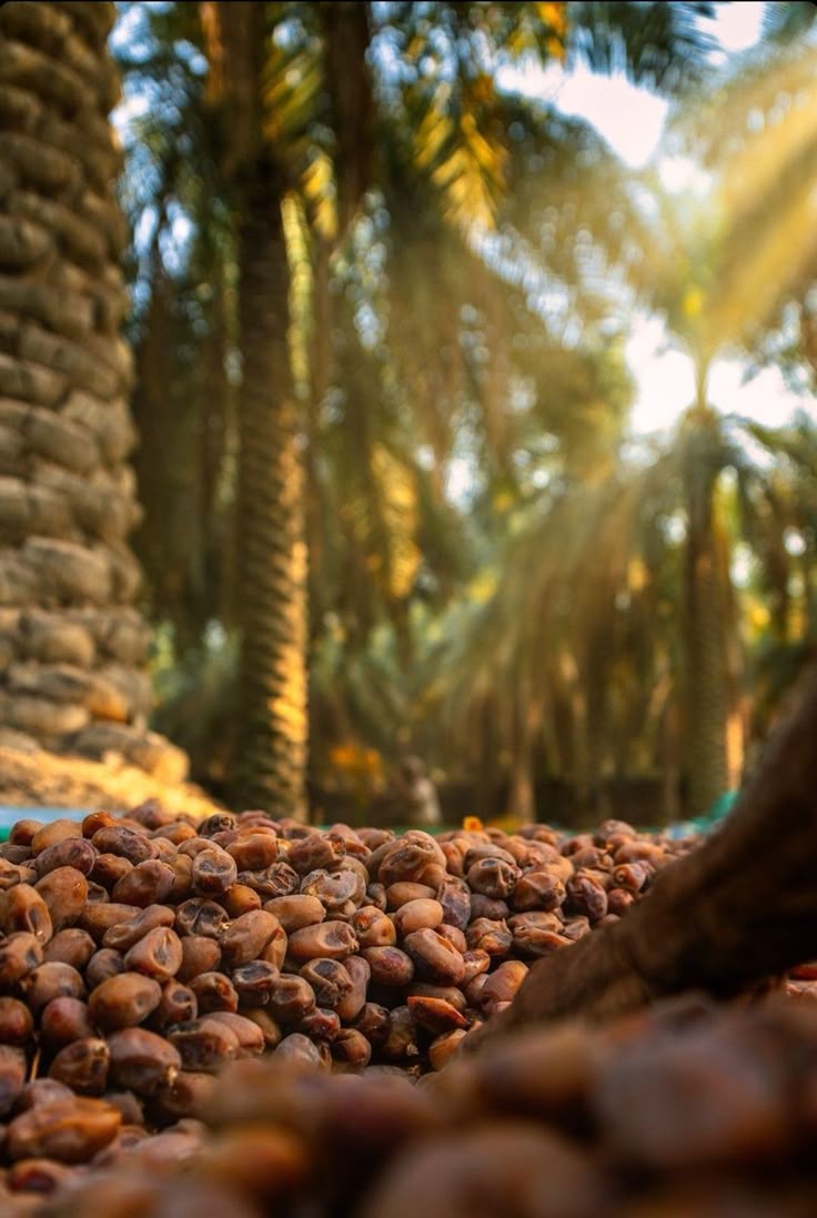 solar panel on the roof