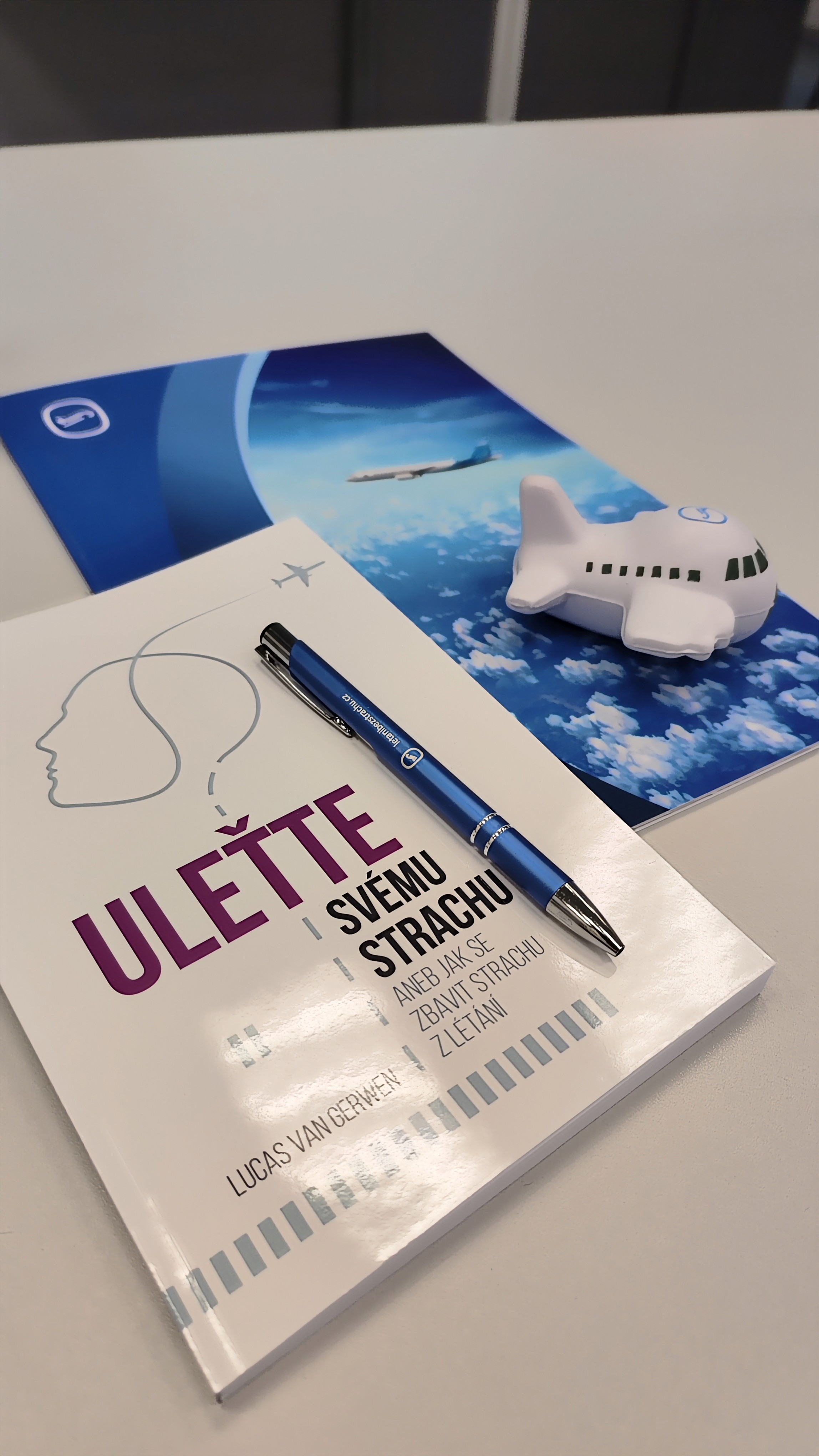 Kniha Ulette svemu strachu aned jak se zbavit strachu z letani