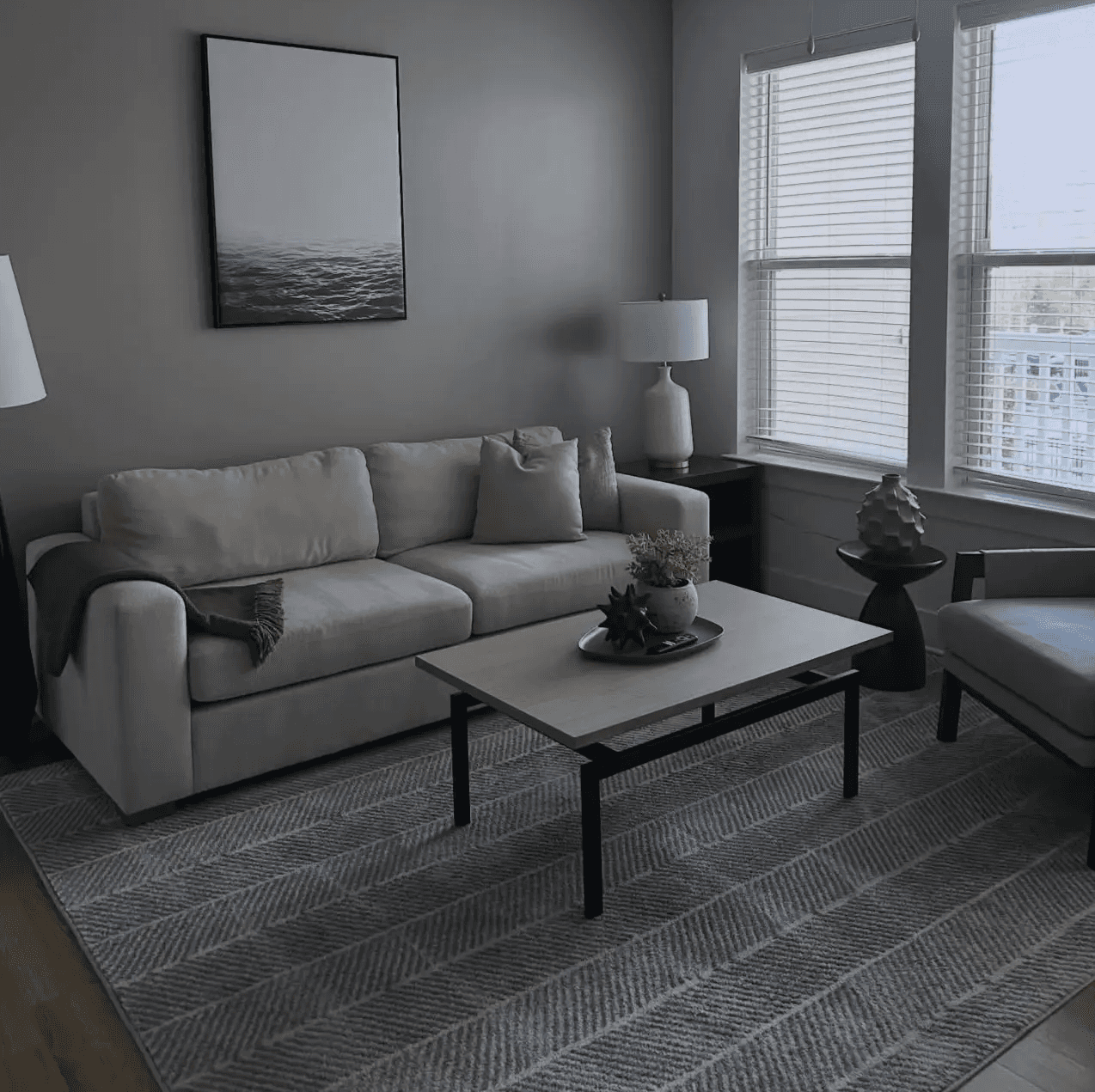 Deep-cleaned apartment living room in Queen Creek, AZ, featuring a vacuumed area rug, dusted surfaces, and perfectly straightened furniture, from a professional cleaning review.