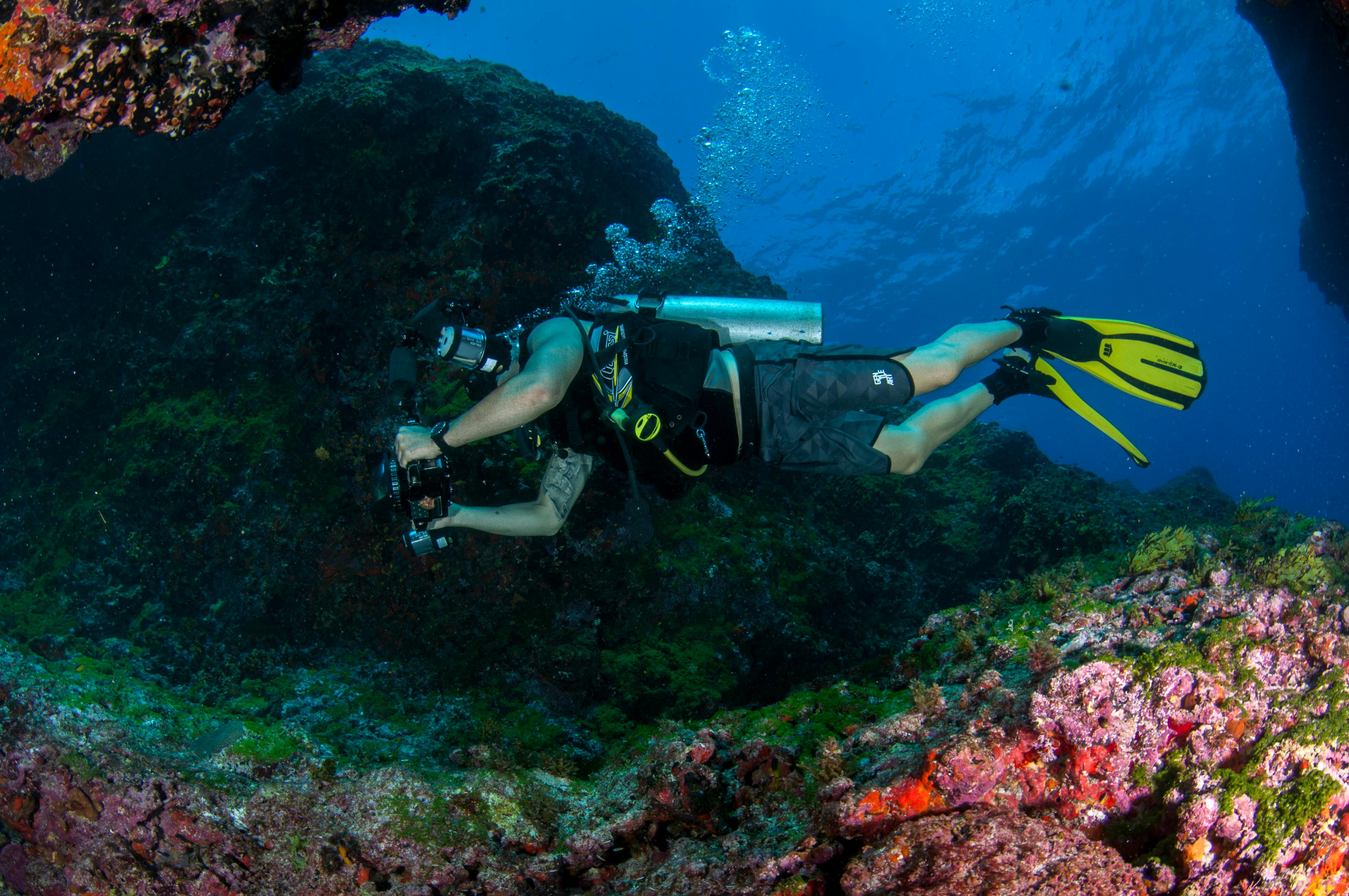A man wearing scuba diving gears underwater, photographing a coral reef